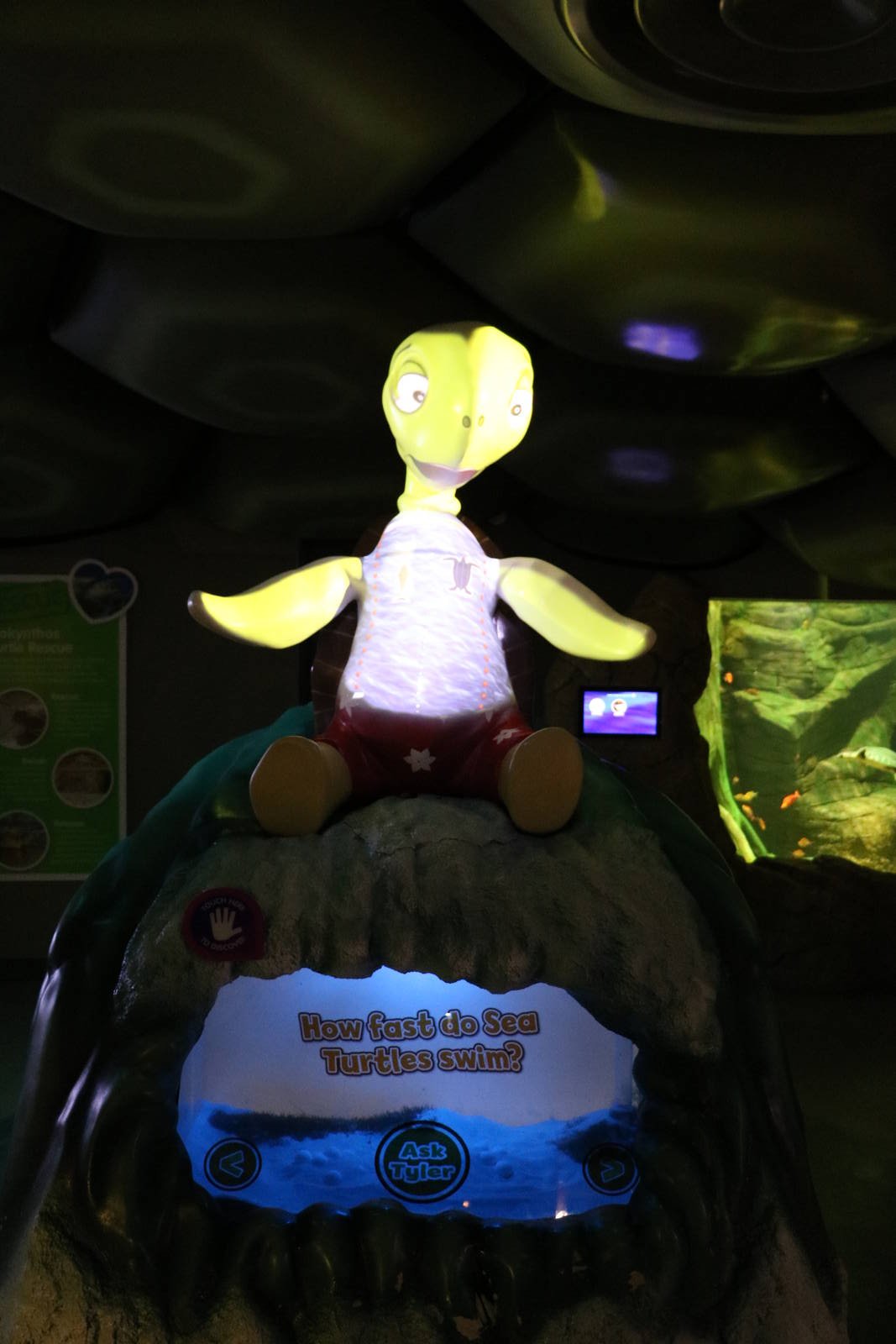 Talking turtle statue, September 2015.