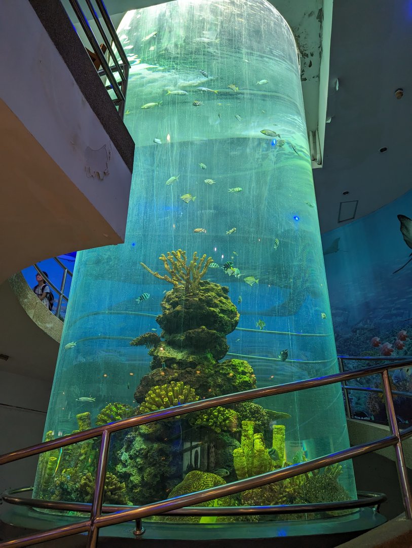 Tall Circular Tank - Rayong Aquarium
