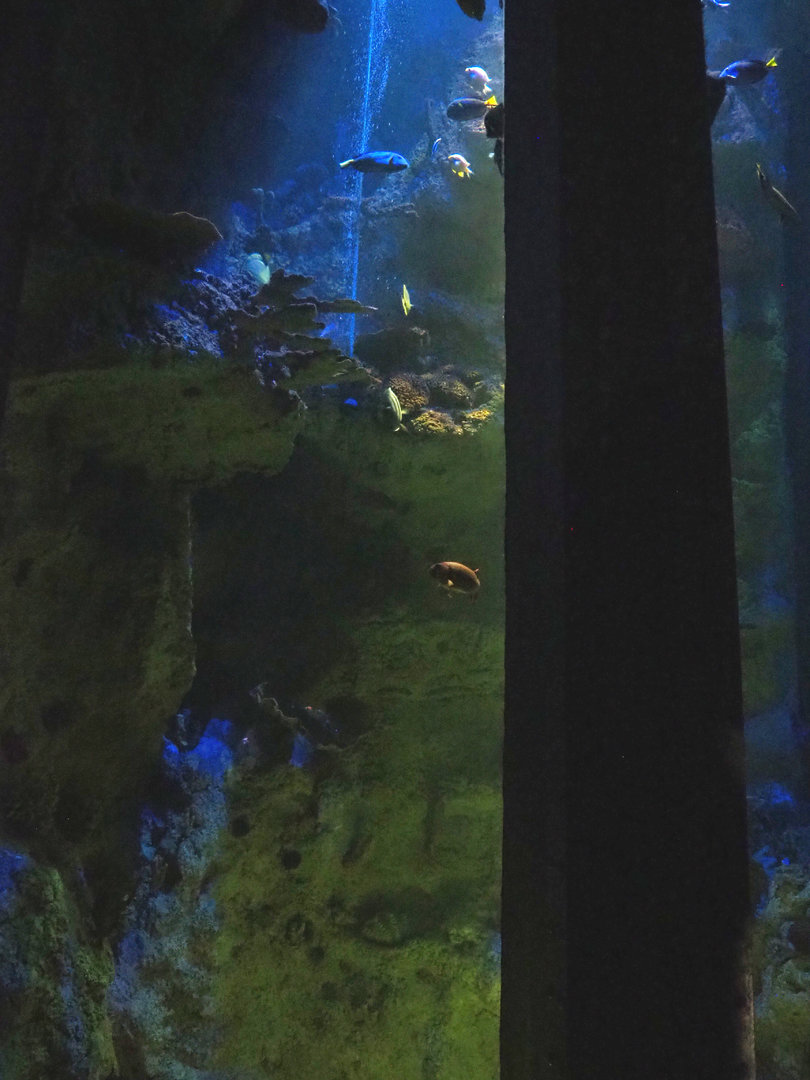 Tall tank in the smaller staircase, 2022-09-14