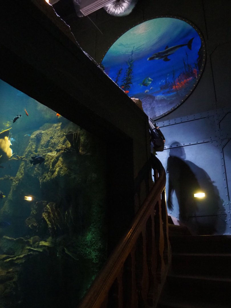 Tall tropical tank and staircase, 2019-10-05