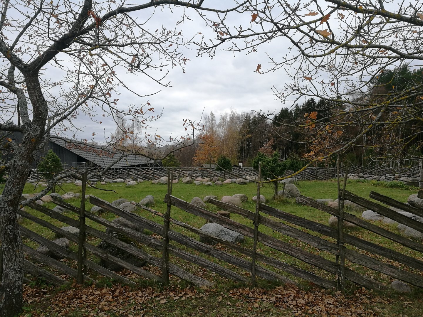 Tallinn Petting Zoo III