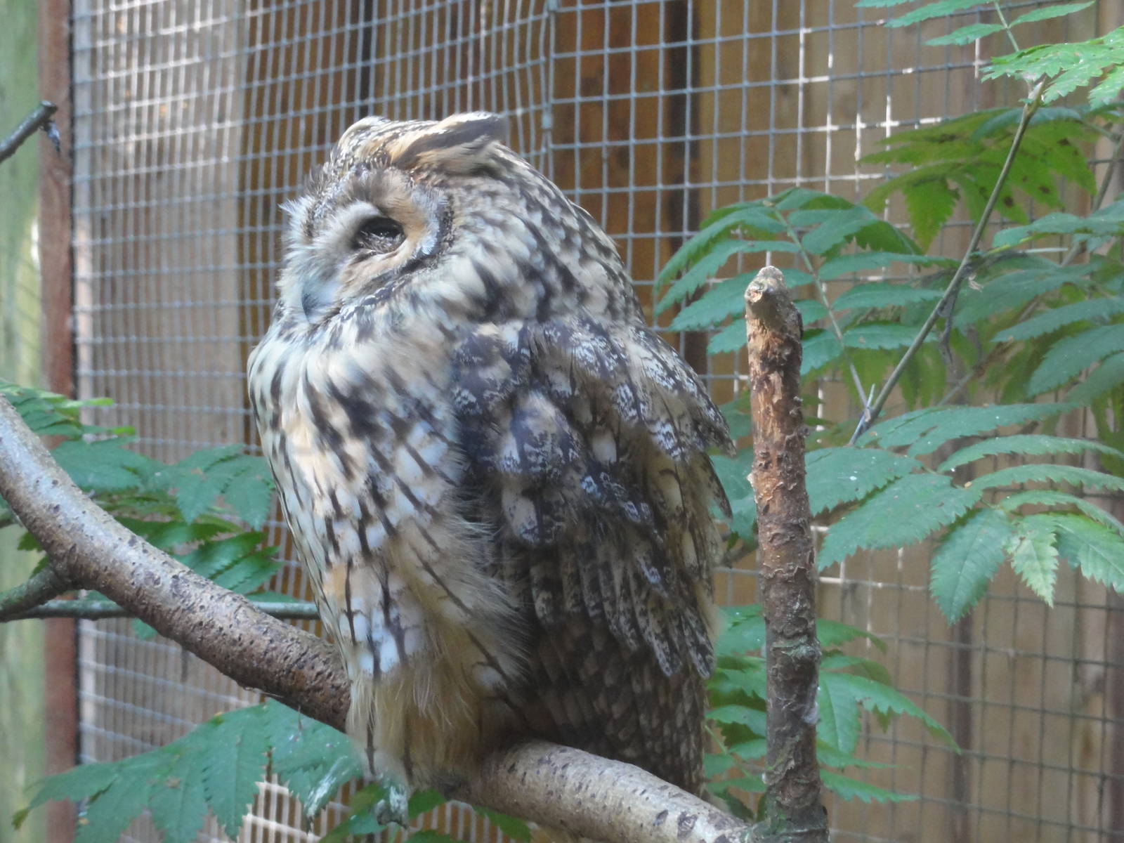 Tallinn Zoo: August 2015