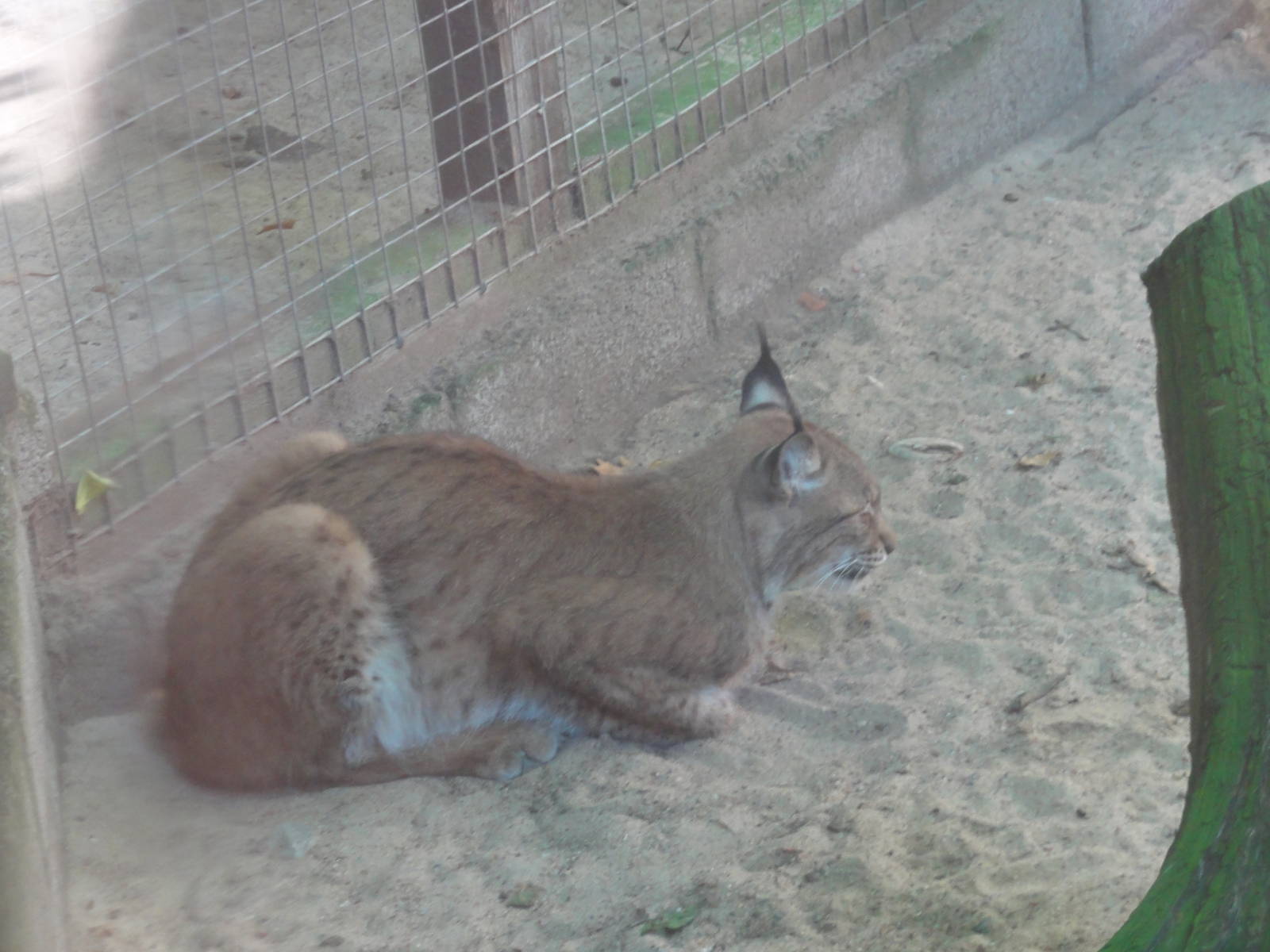 Tallinn Zoo: August 2015