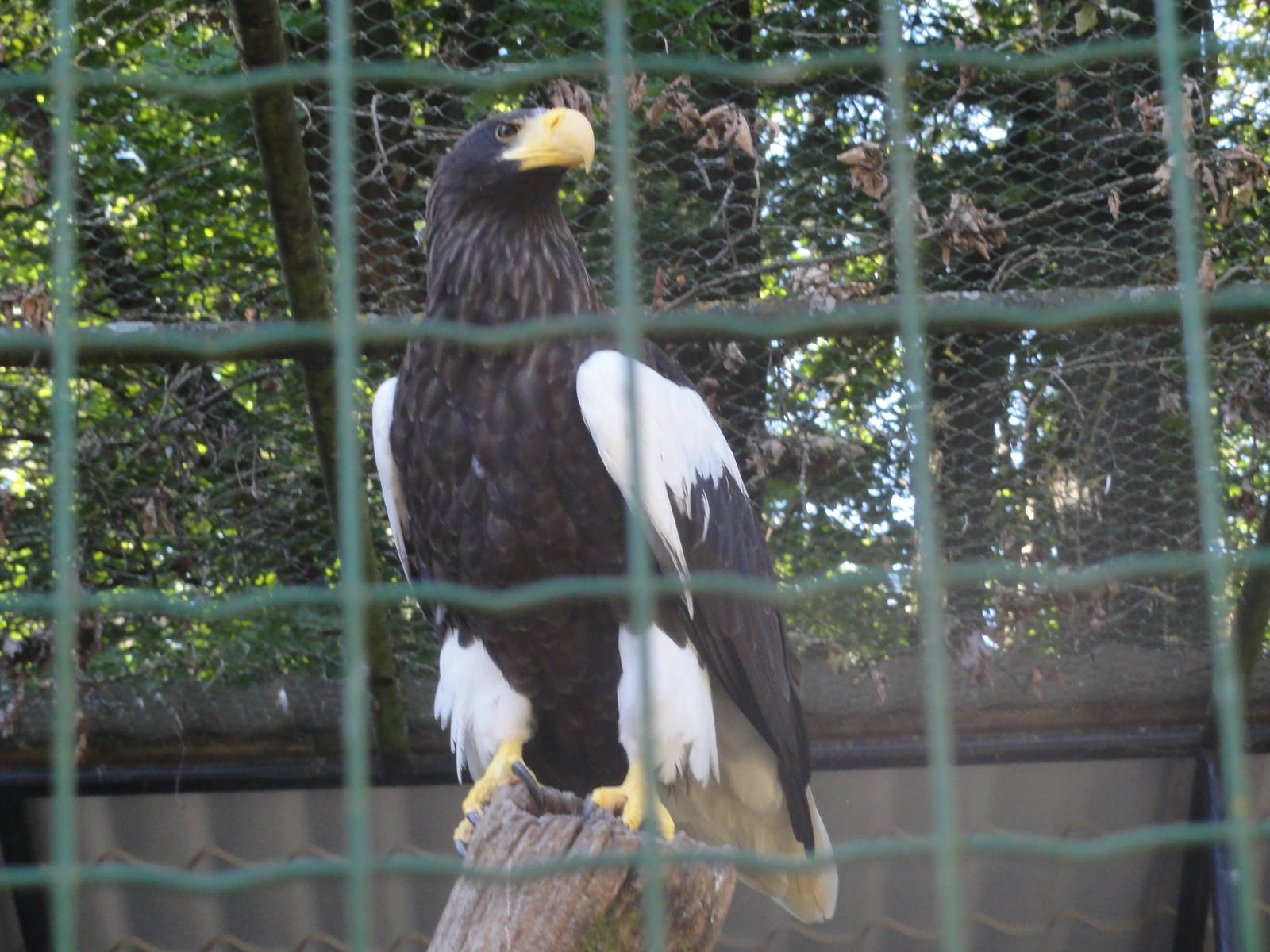 Tallinn Zoo: August 2015