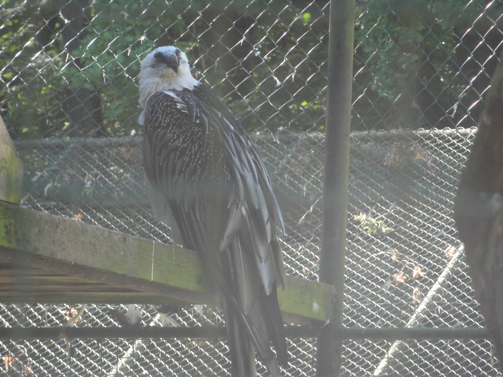 Tallinn Zoo: August 2015