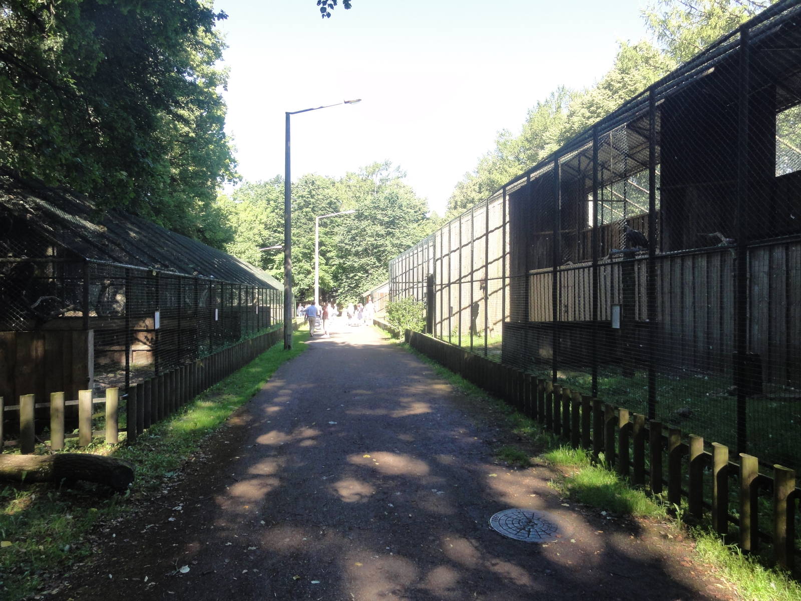 Tallinn Zoo: August 2015