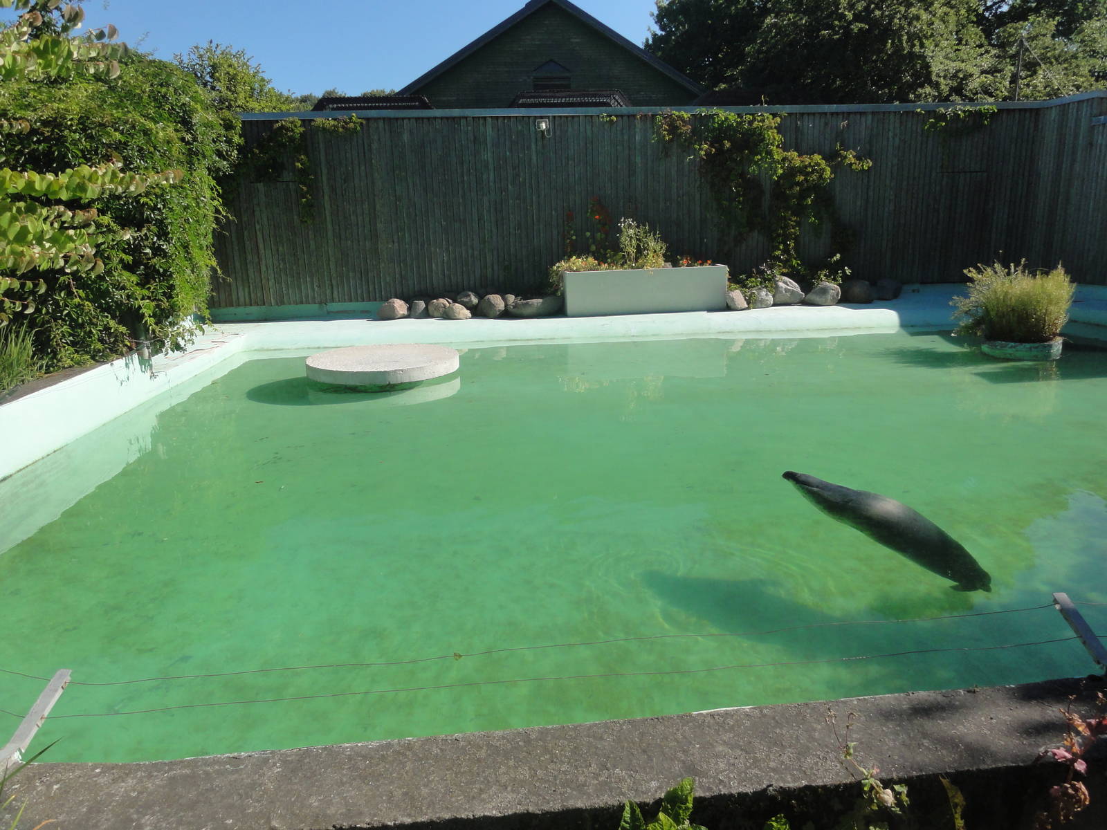 Tallinn Zoo: August 2015