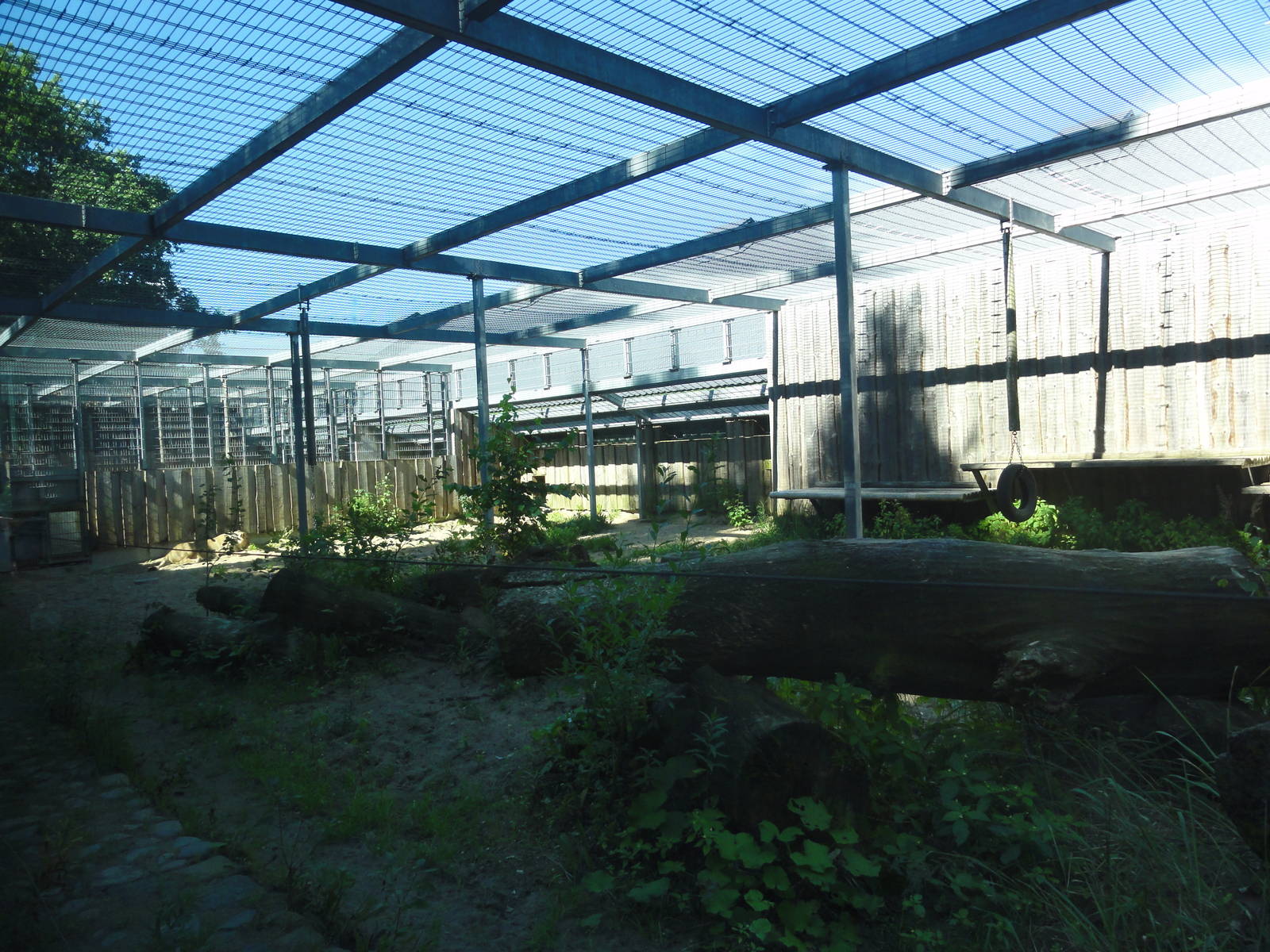 Tallinn Zoo: August 2015