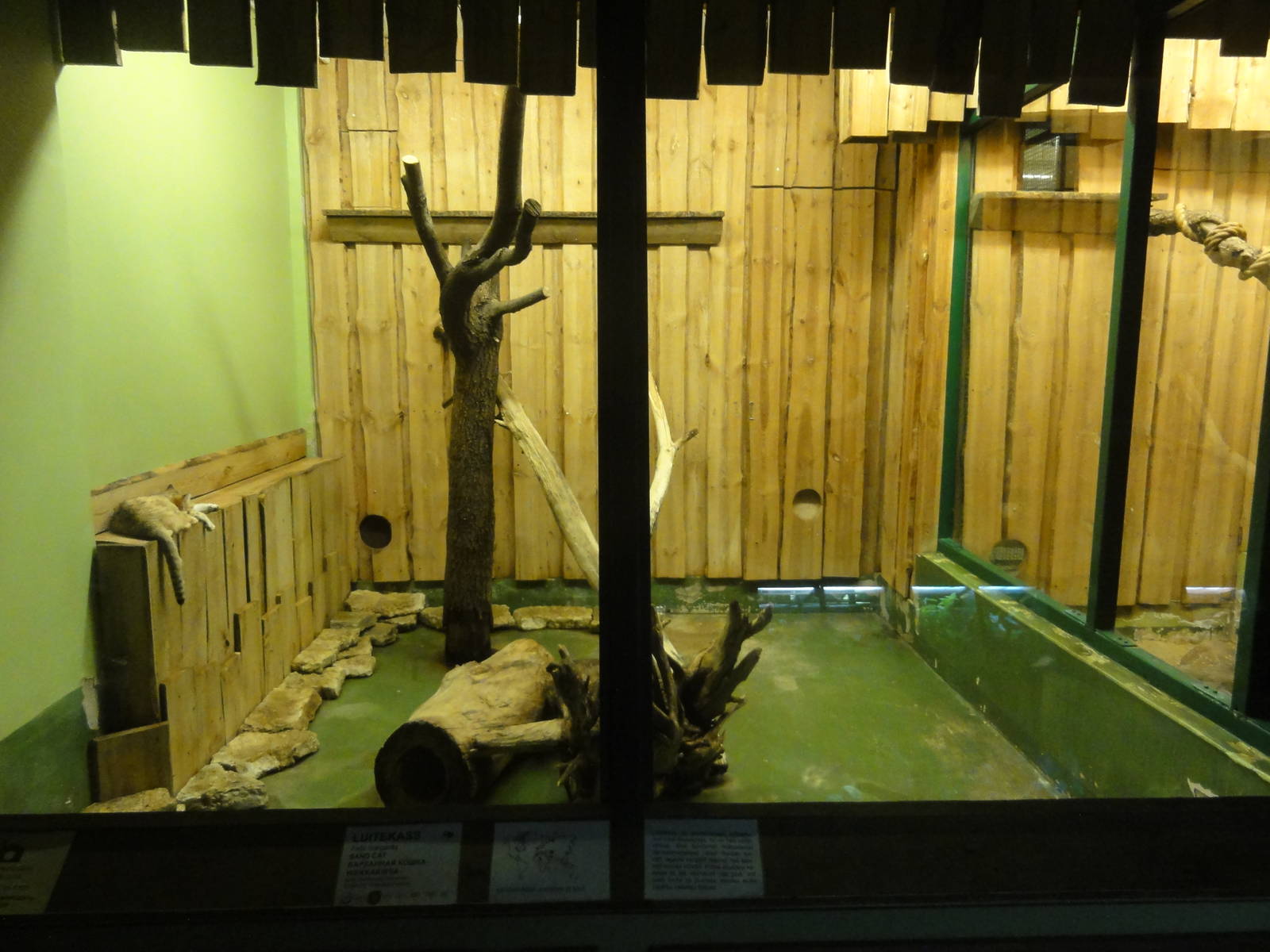 Tallinn Zoo: August 2015