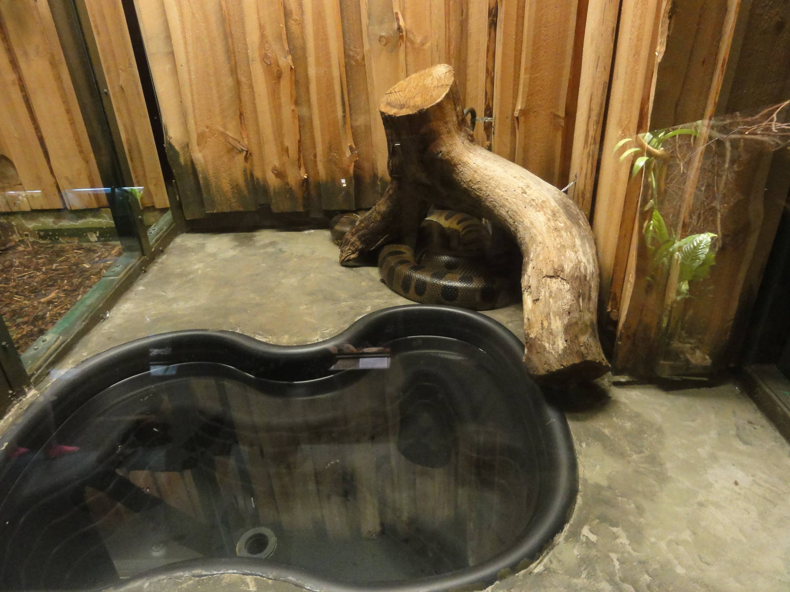 Tallinn Zoo: August 2015