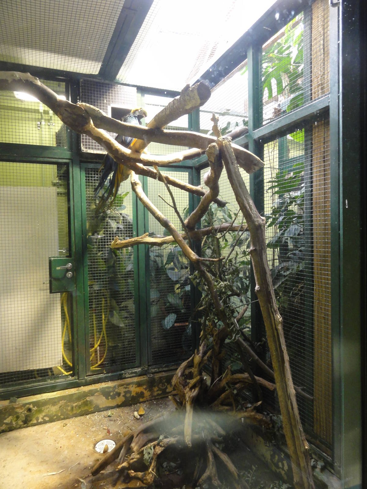 Tallinn Zoo: August 2015