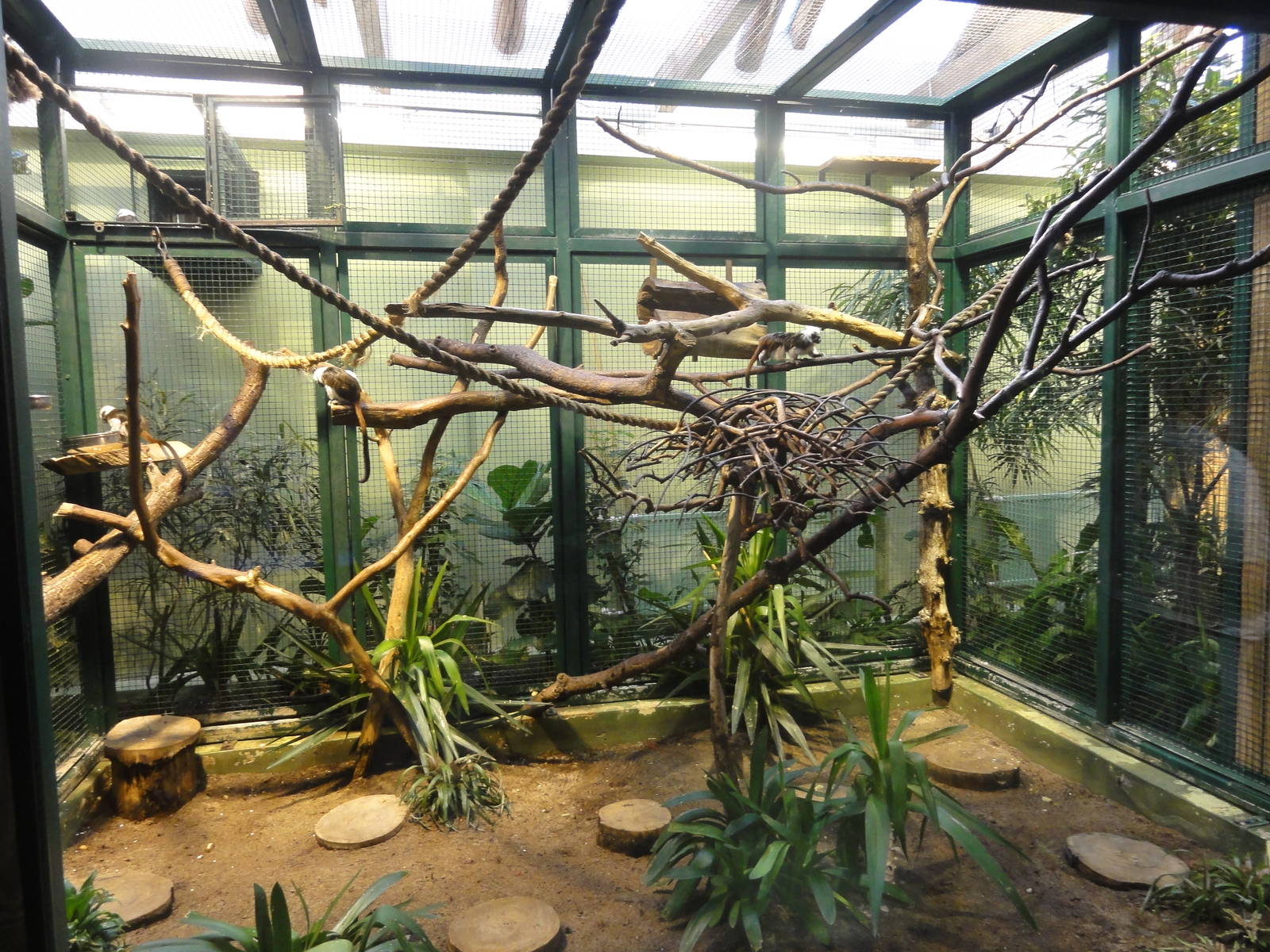 Tallinn Zoo: August 2015