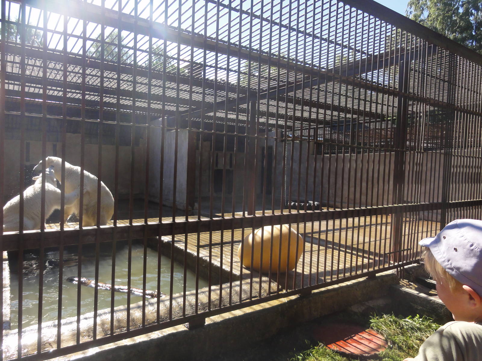 Tallinn Zoo: August 2015