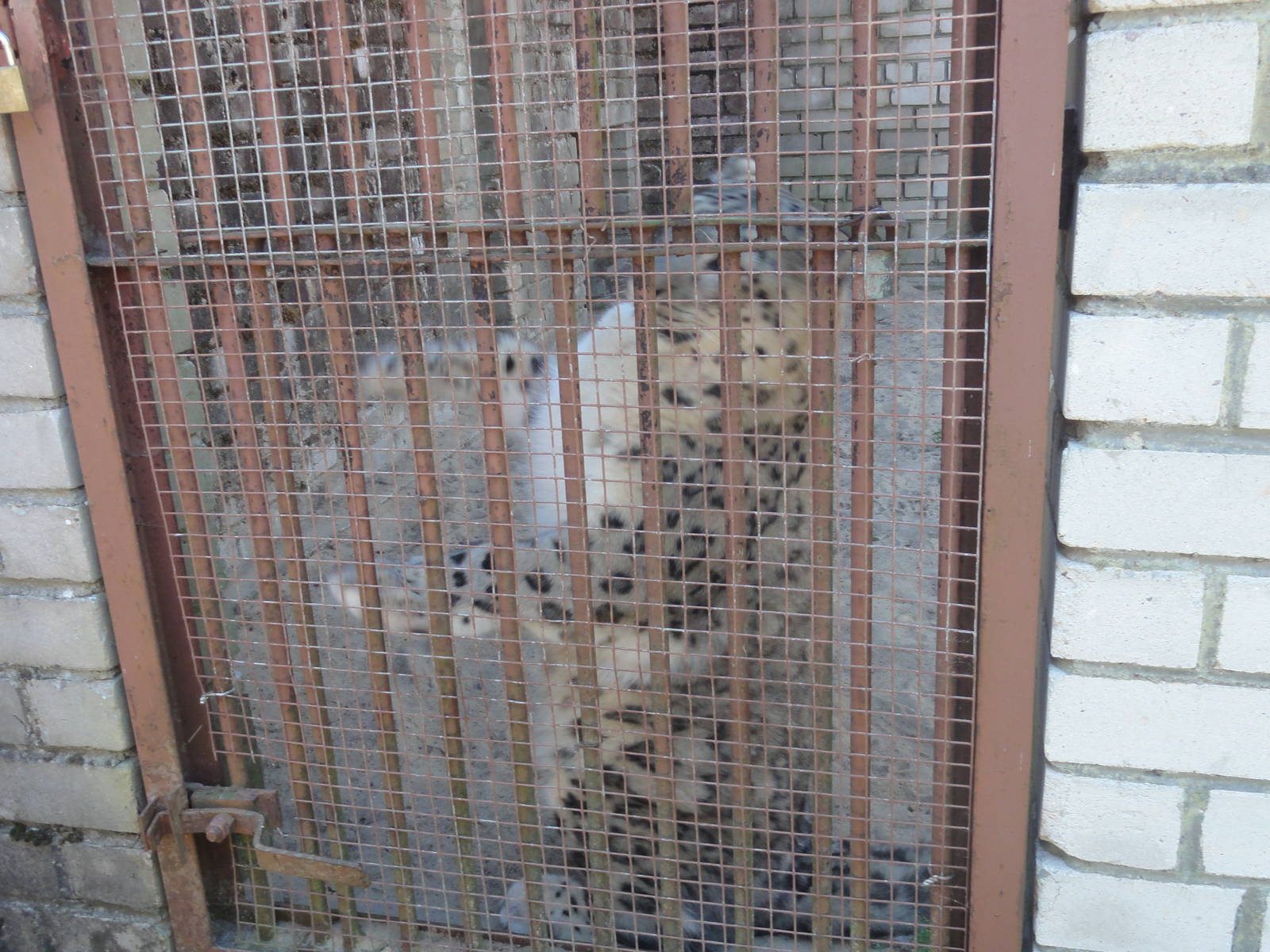 Tallinn Zoo: August 2015