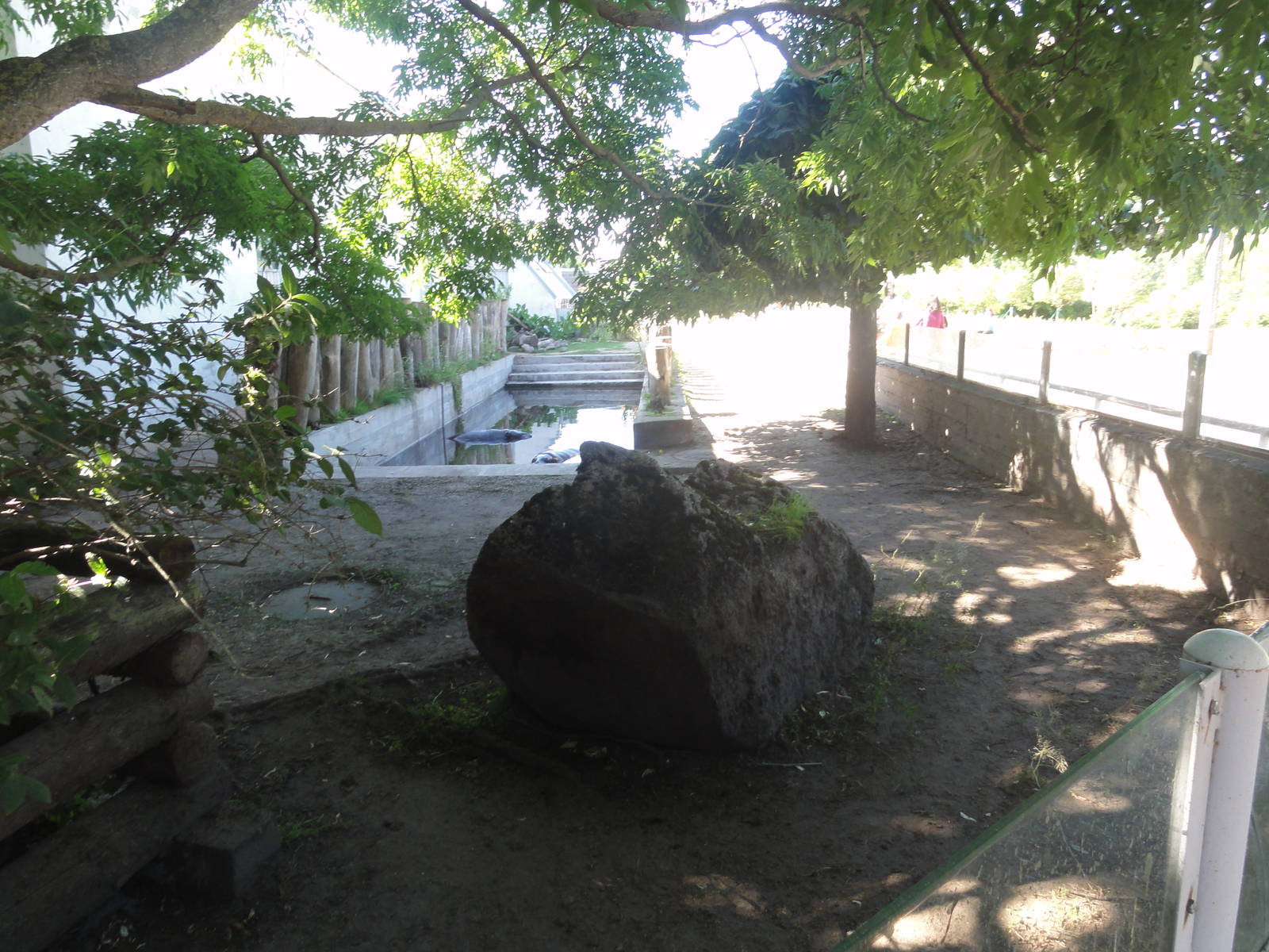 Tallinn Zoo: August 2015