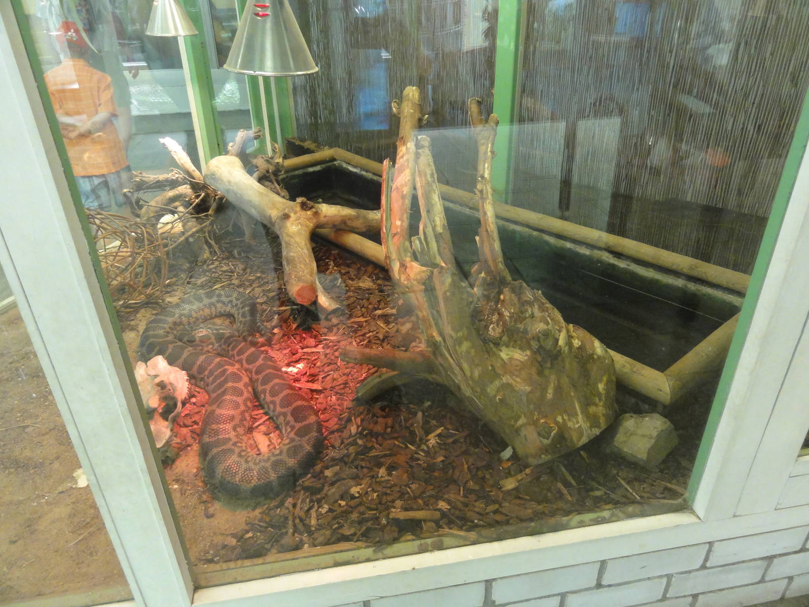 Tallinn Zoo: August 2015