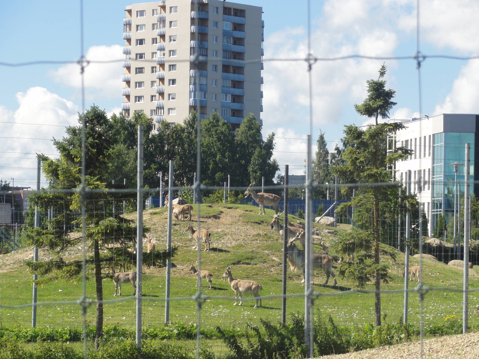Tallinn Zoo: August 2015