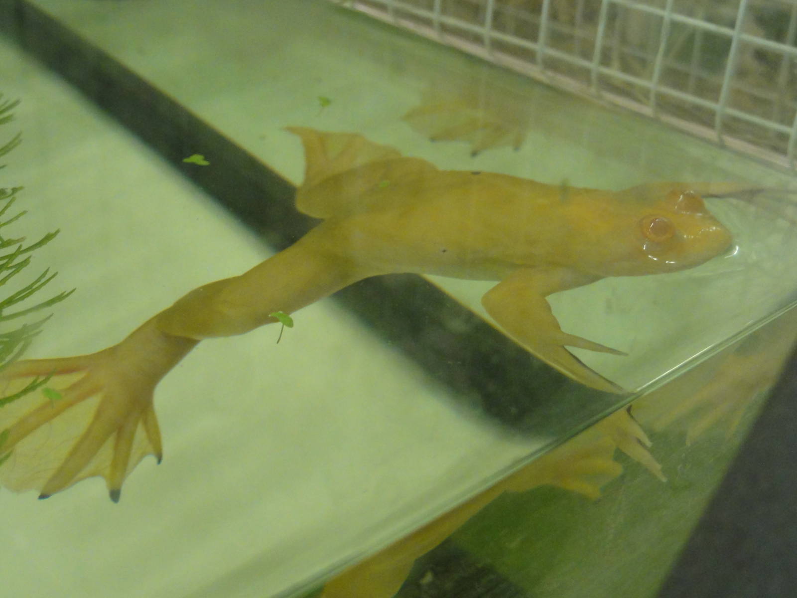 Tallinn Zoo: August 2015