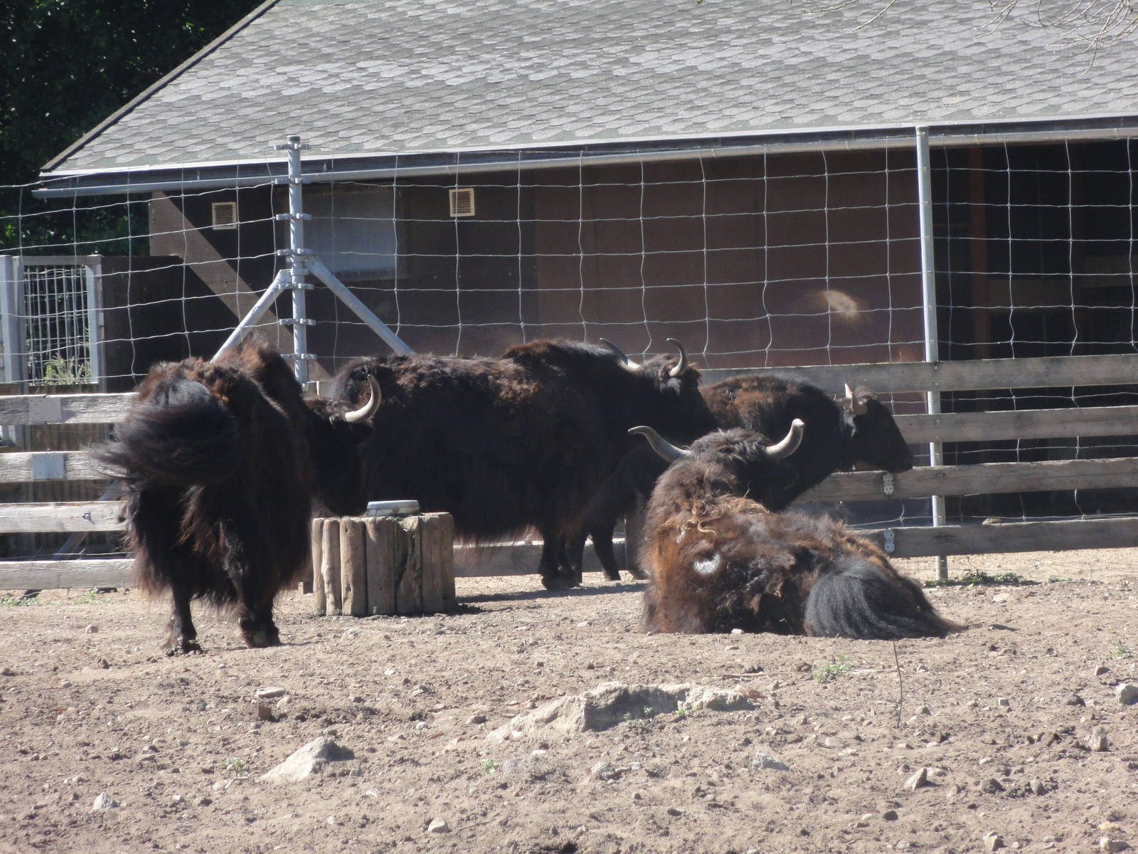 Tallinn Zoo: August 2015