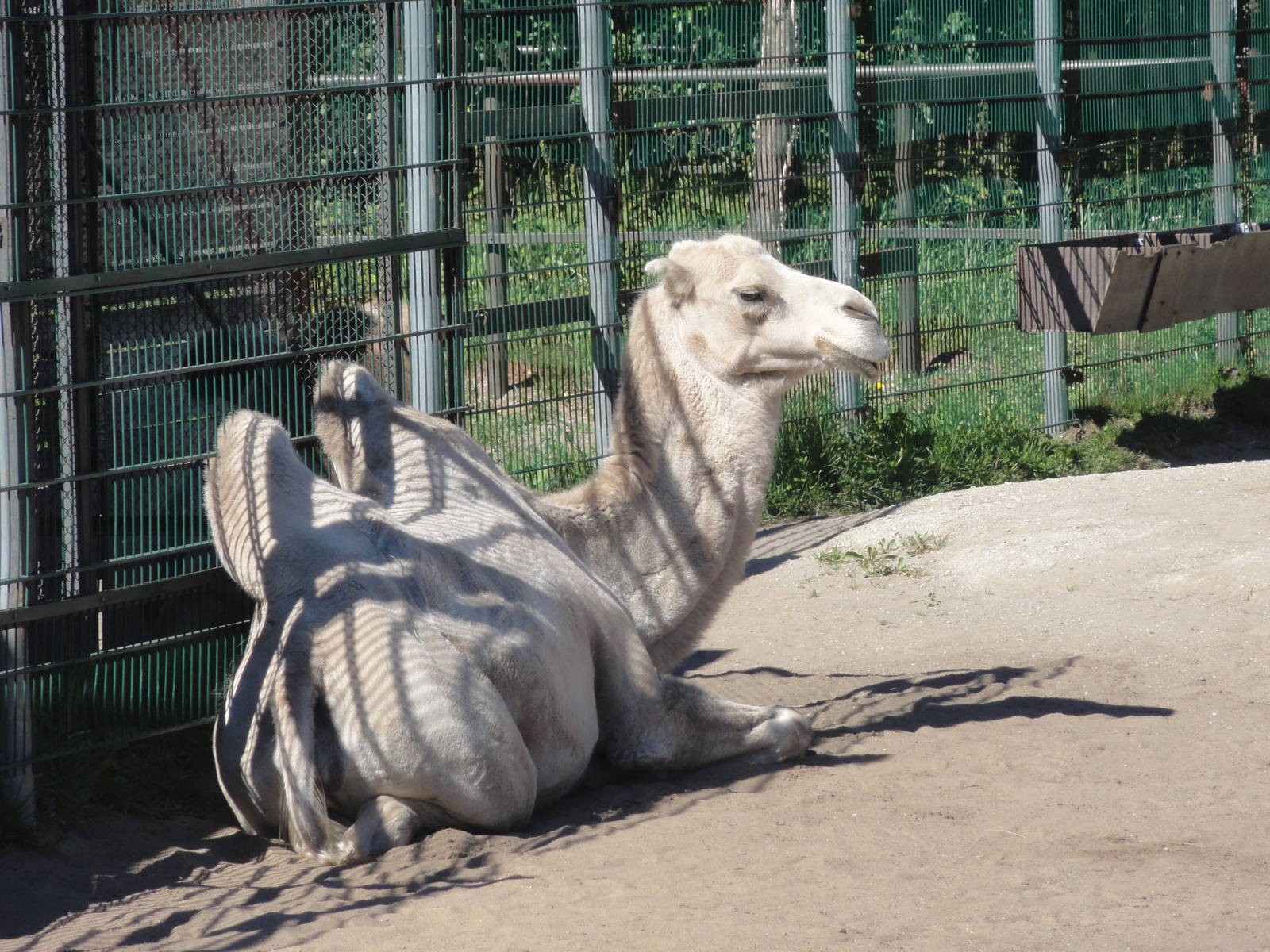 Tallinn Zoo: August 2015