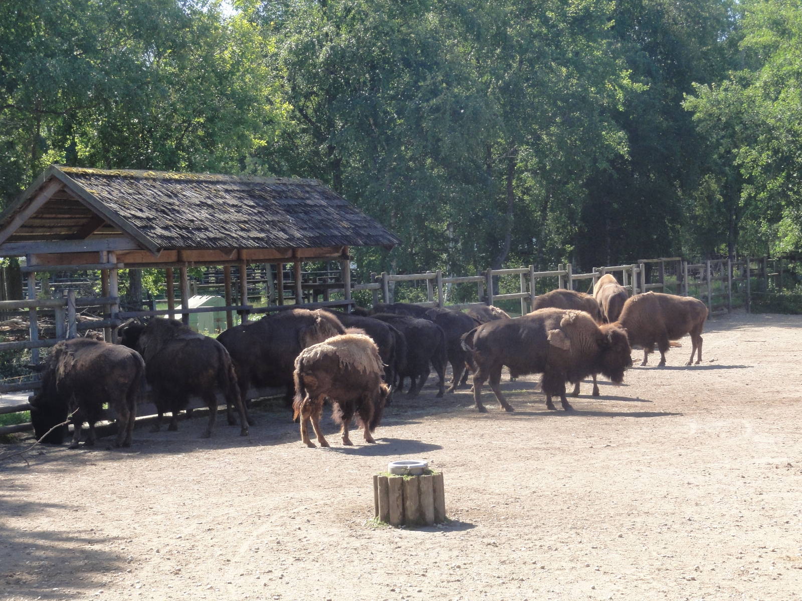 Tallinn Zoo: August 2015