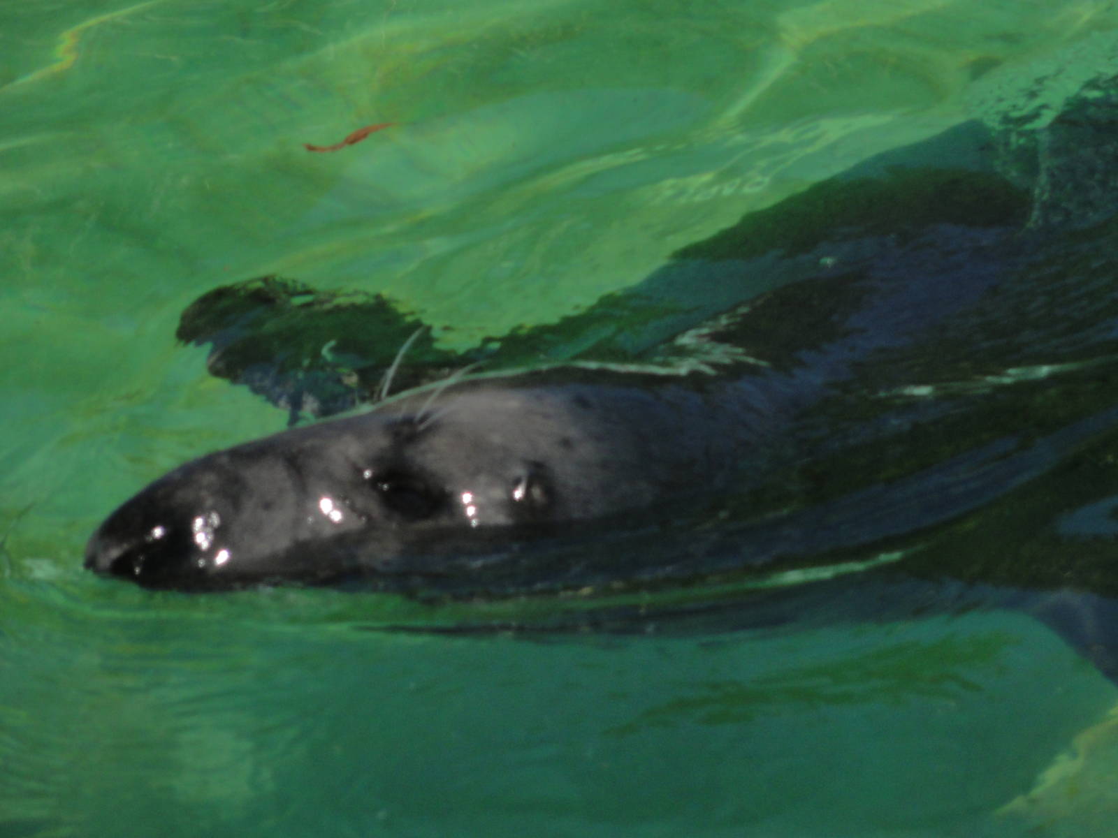 Tallinn Zoo: August 2015