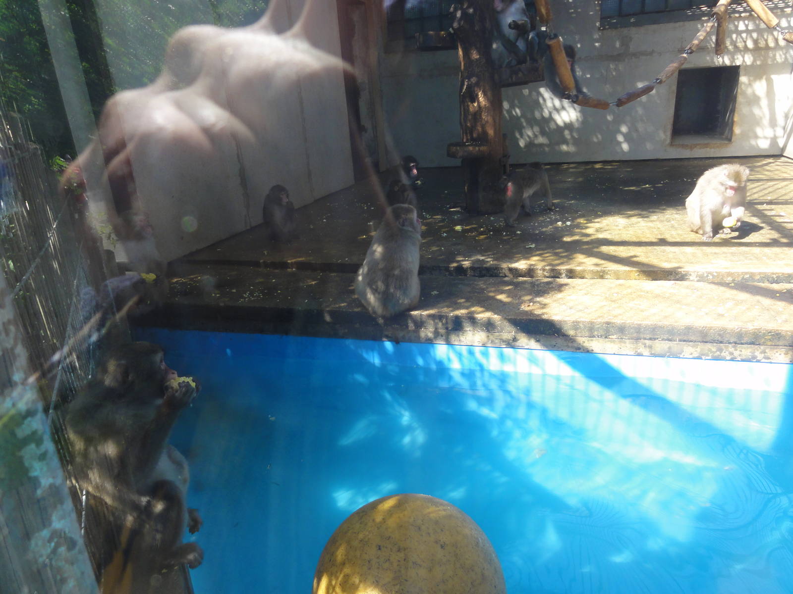 Tallinn Zoo: August 2015