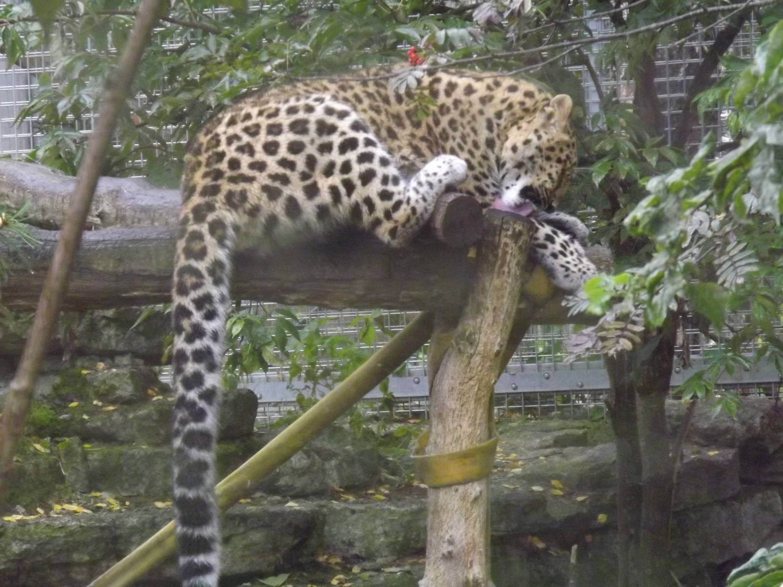 Tallinn zoo, Estonia