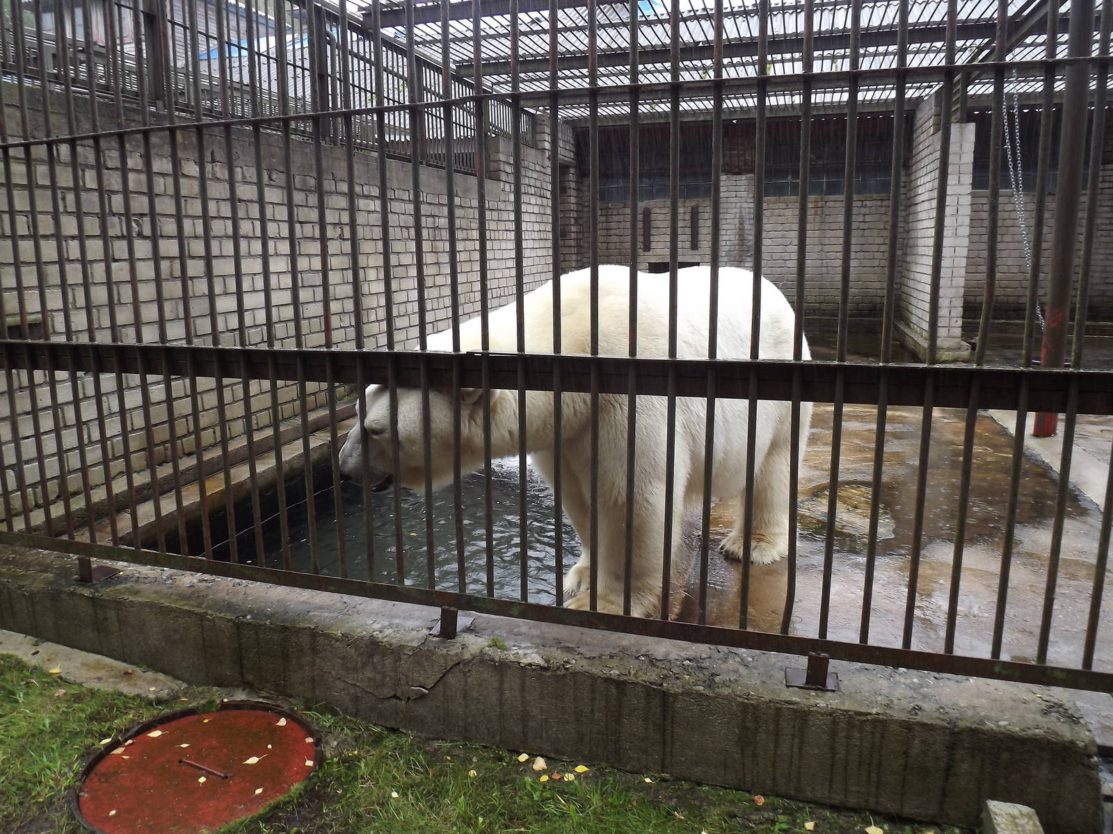 Tallinn zoo, Estonia
