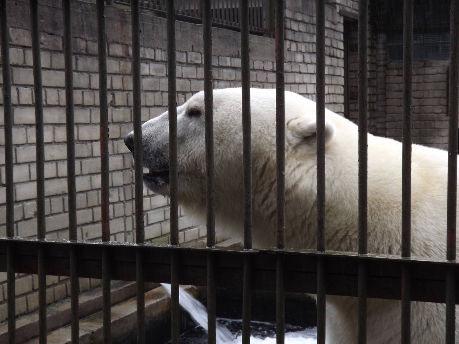 Tallinn zoo, Estonia