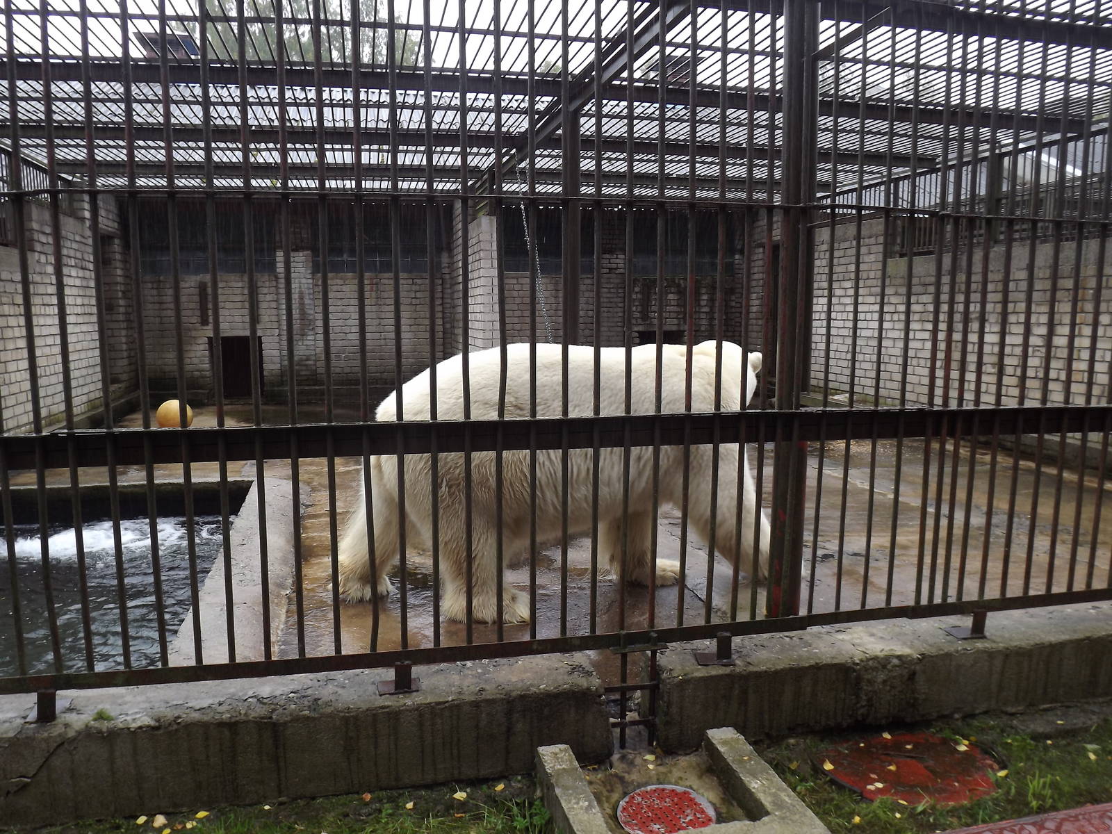 Tallinn zoo, Estonia