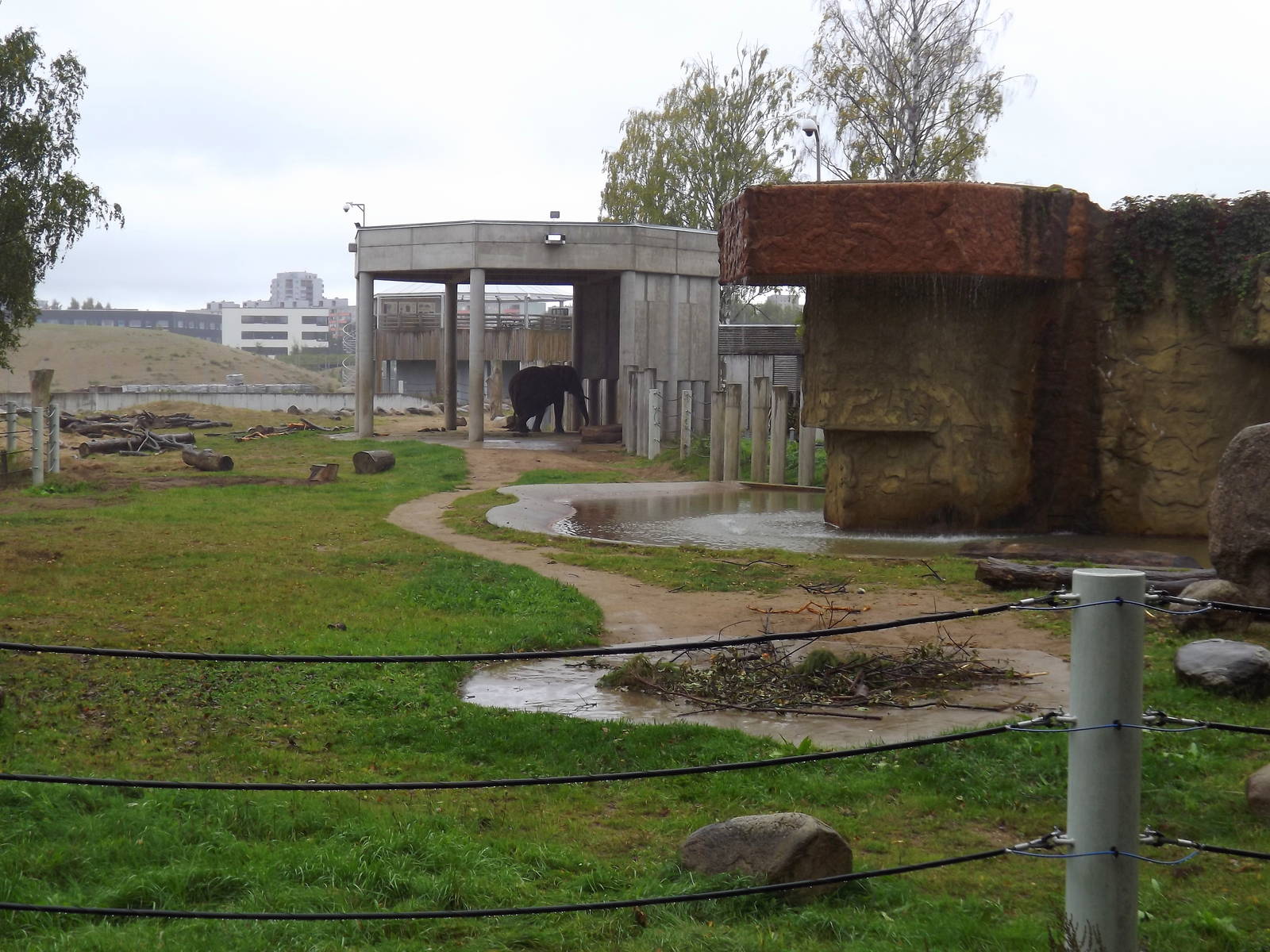 Tallinn zoo, Estonia