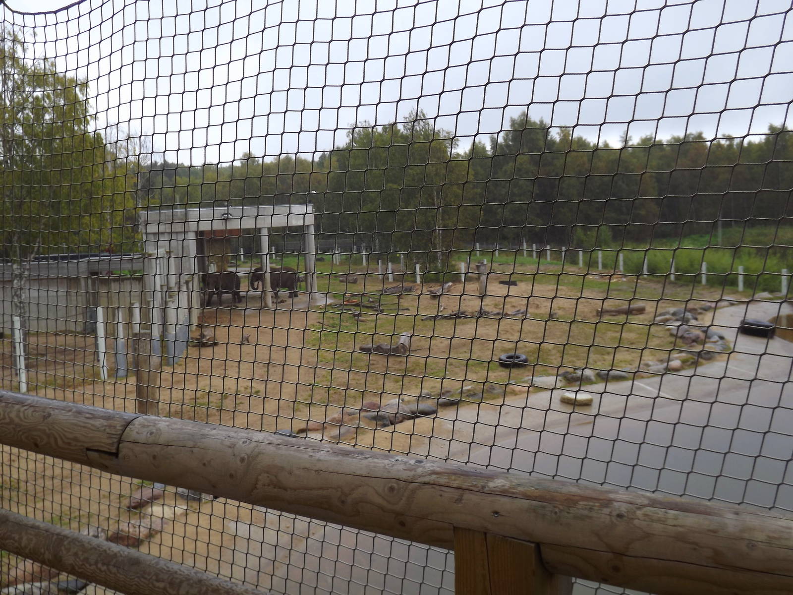 Tallinn zoo, Estonia