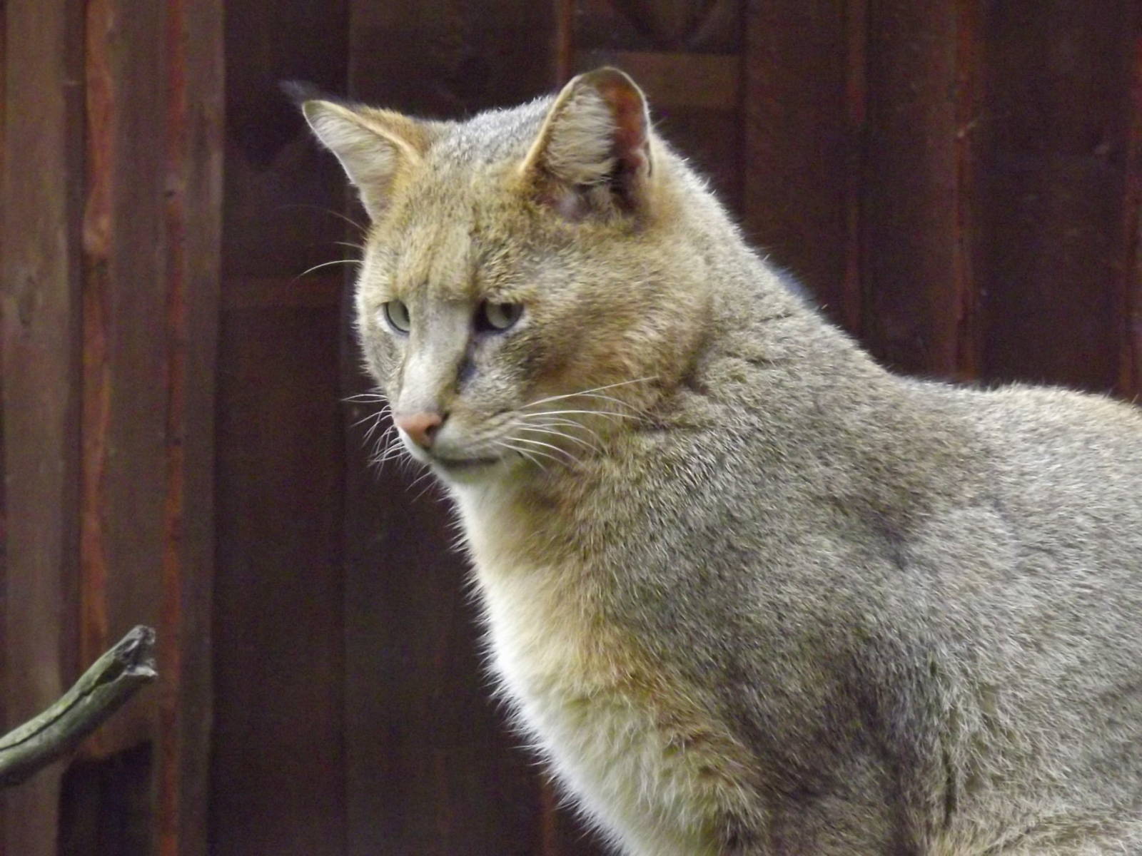 Tallinn zoo, Estonia