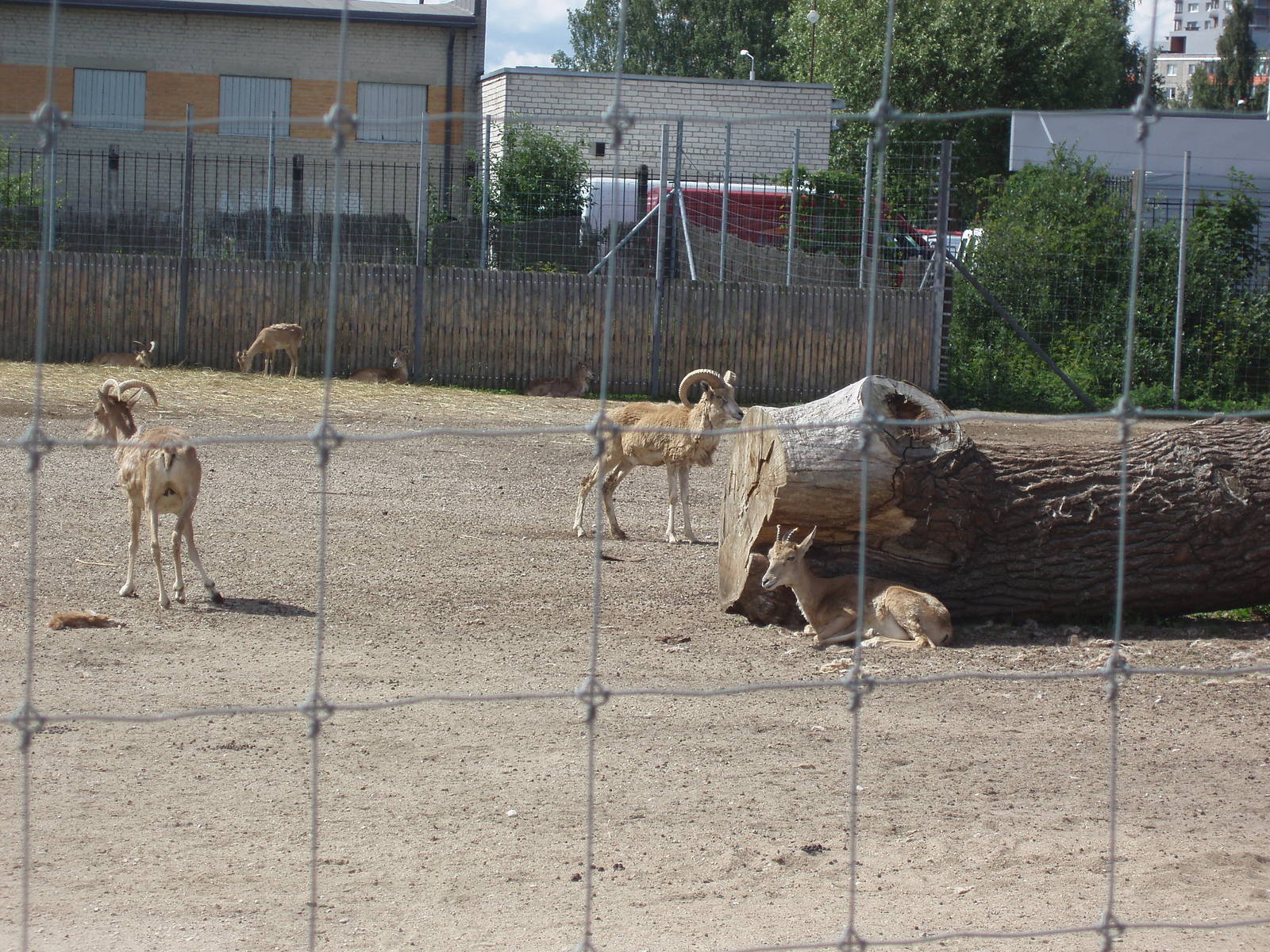 Tallinn Zoo