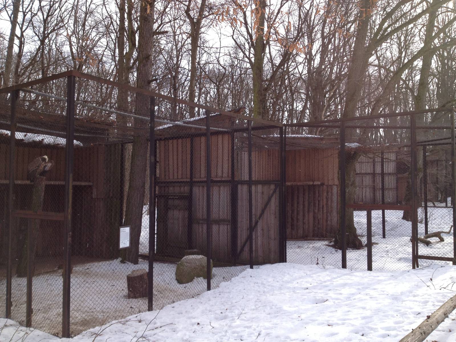 Tallinn Zoo