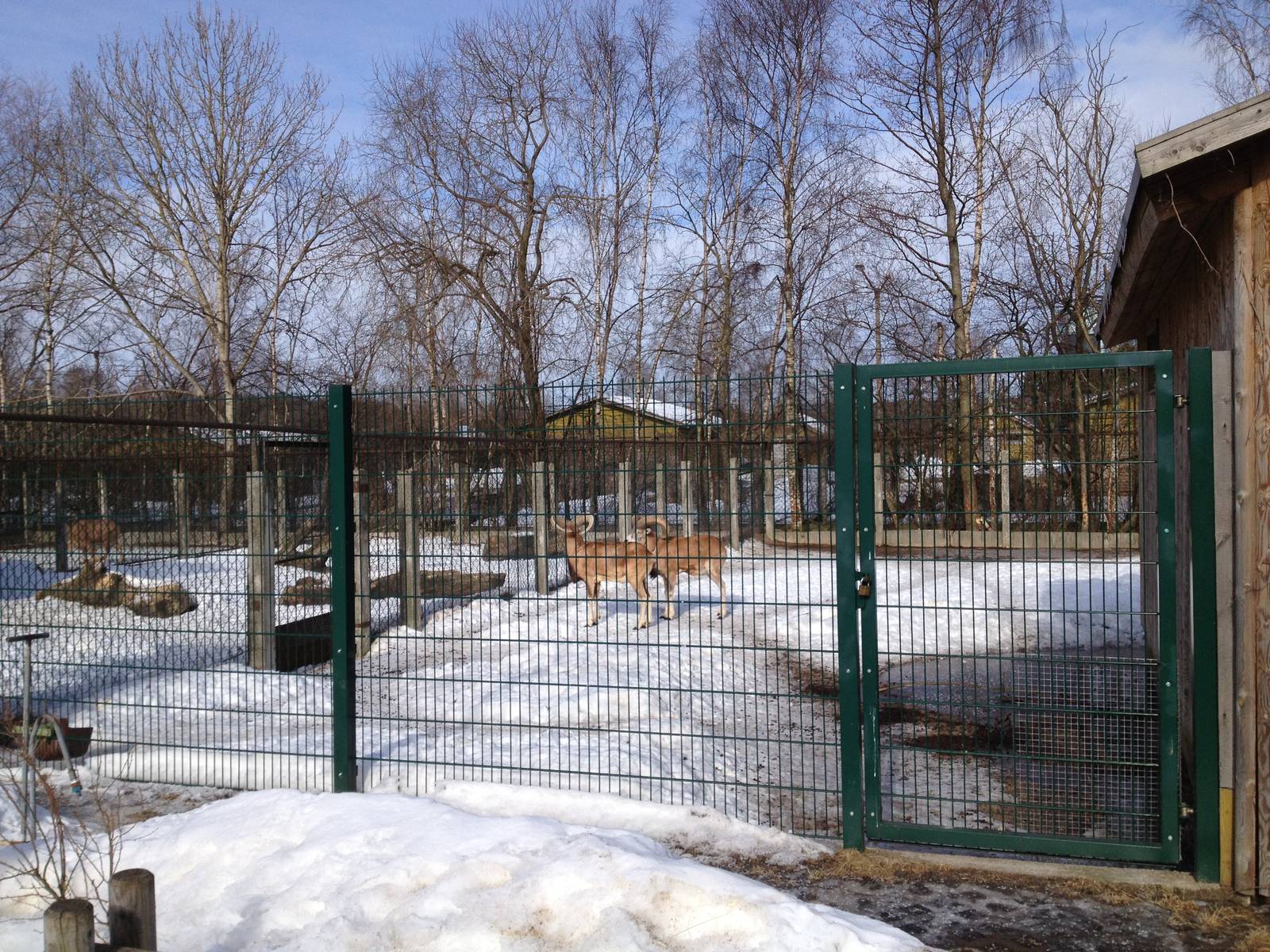 Tallinn Zoo