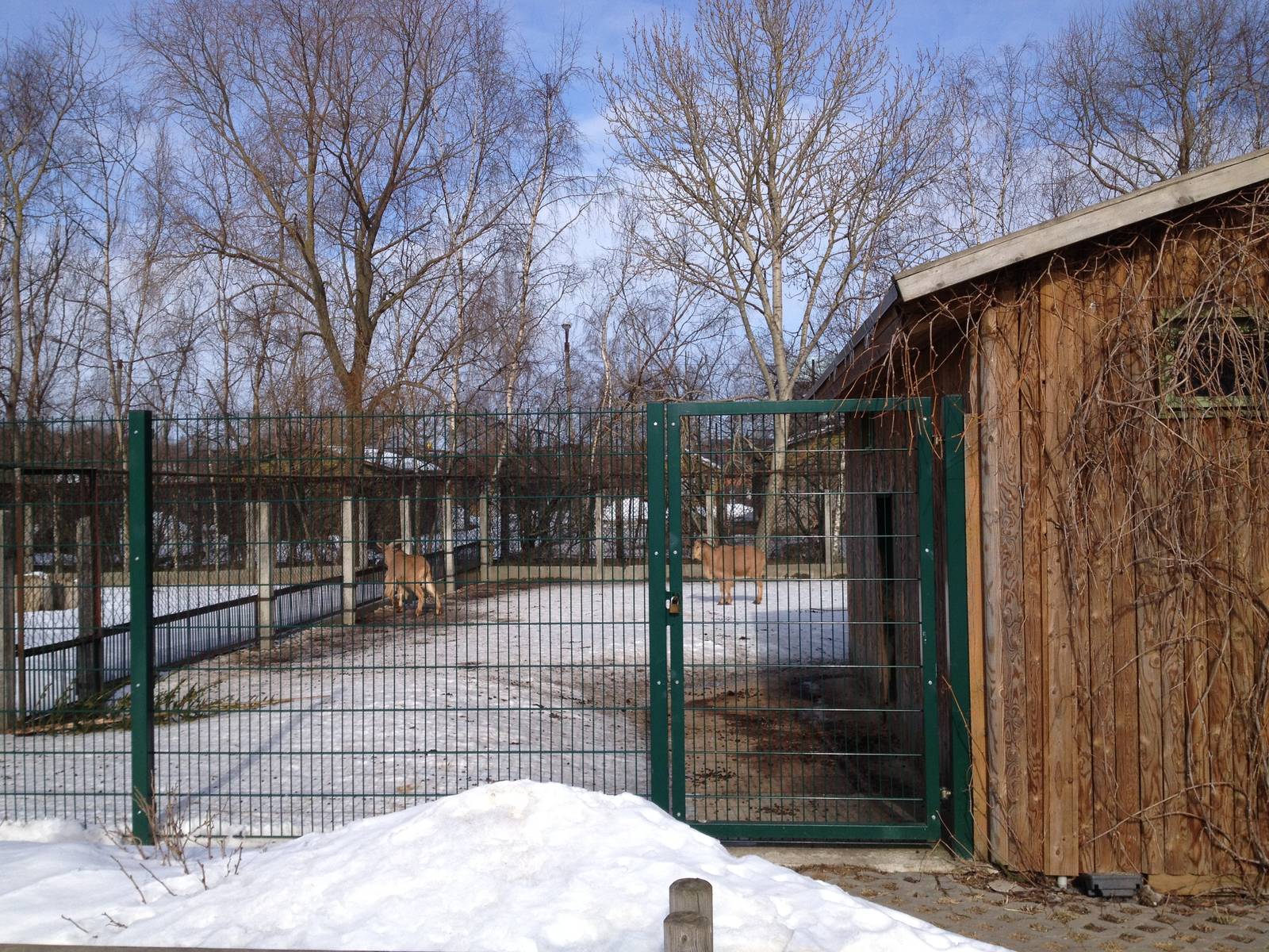 Tallinn Zoo