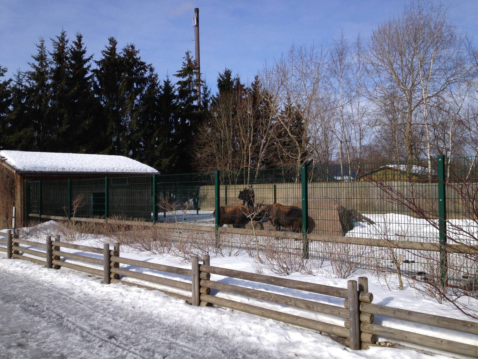 Tallinn Zoo