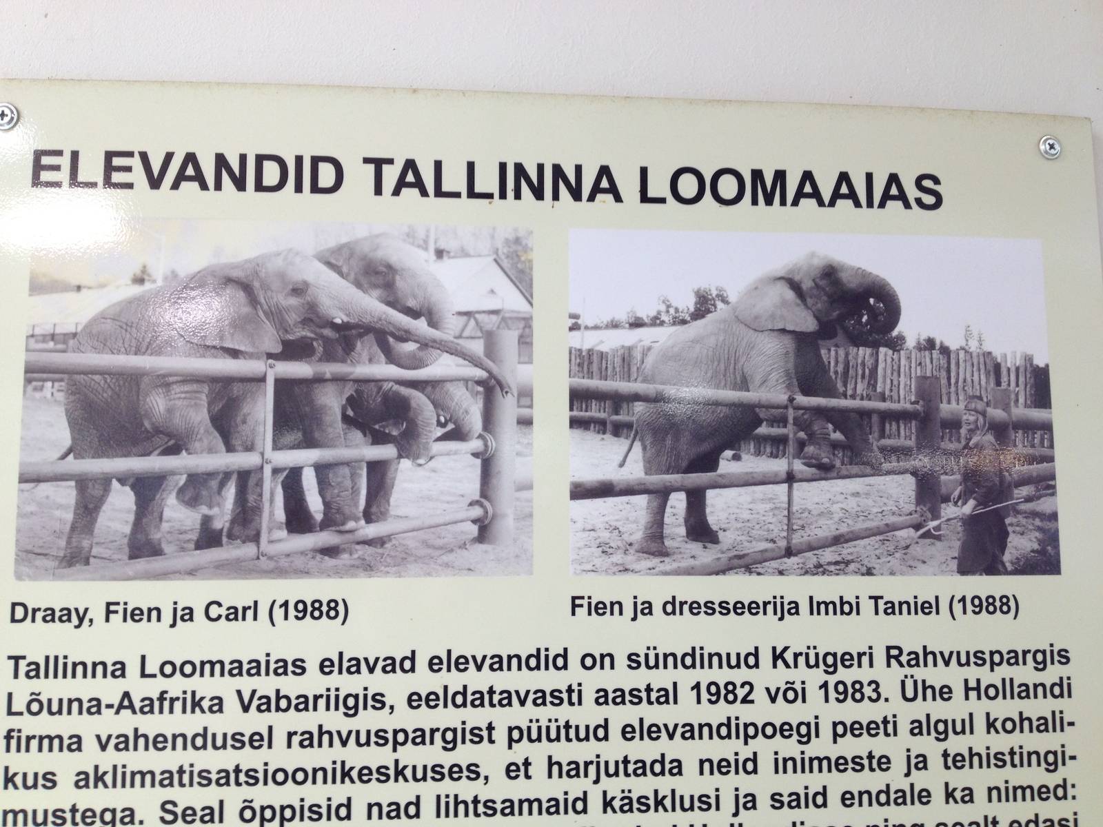 Tallinn Zoo