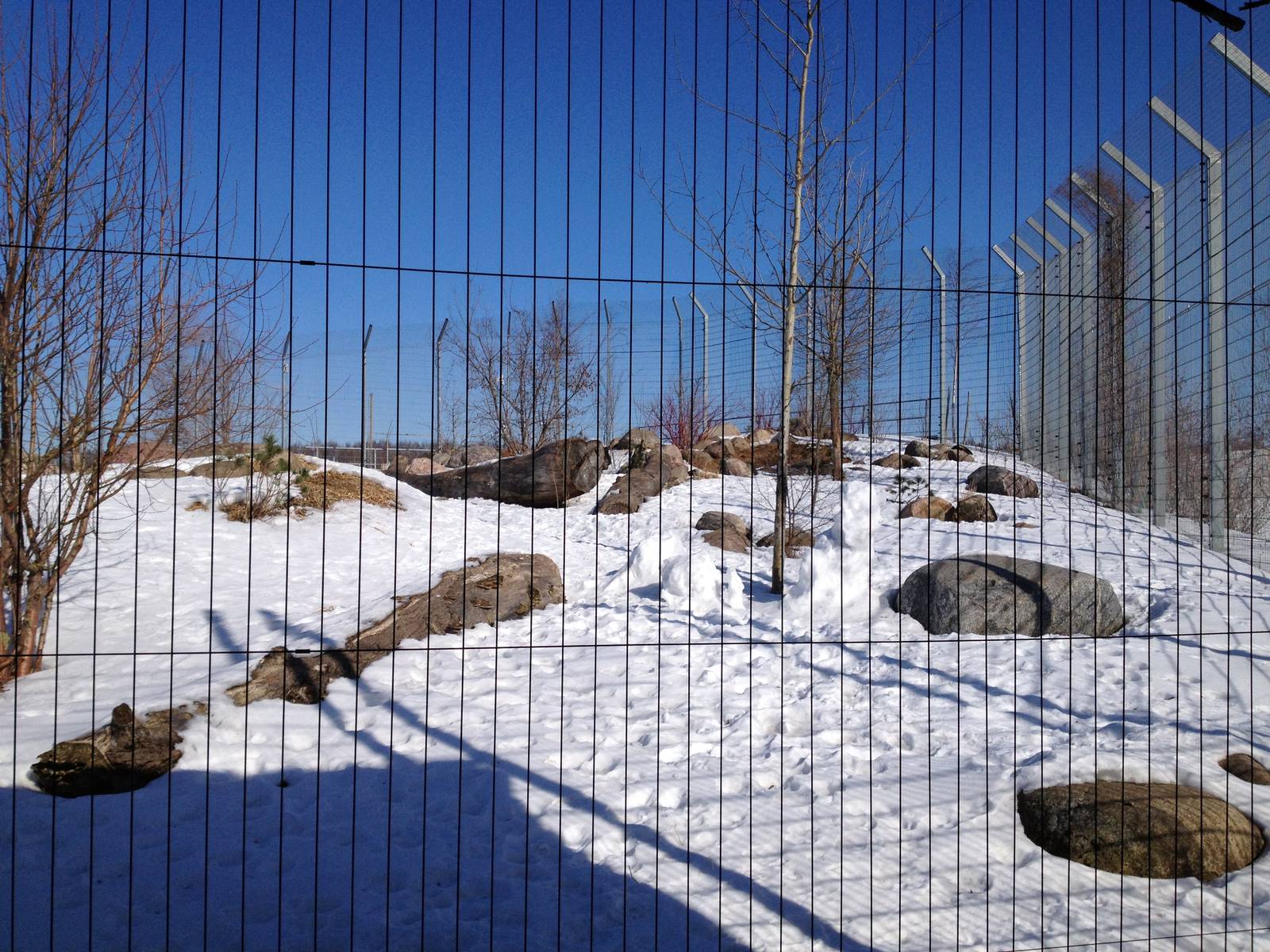 Tallinn Zoo