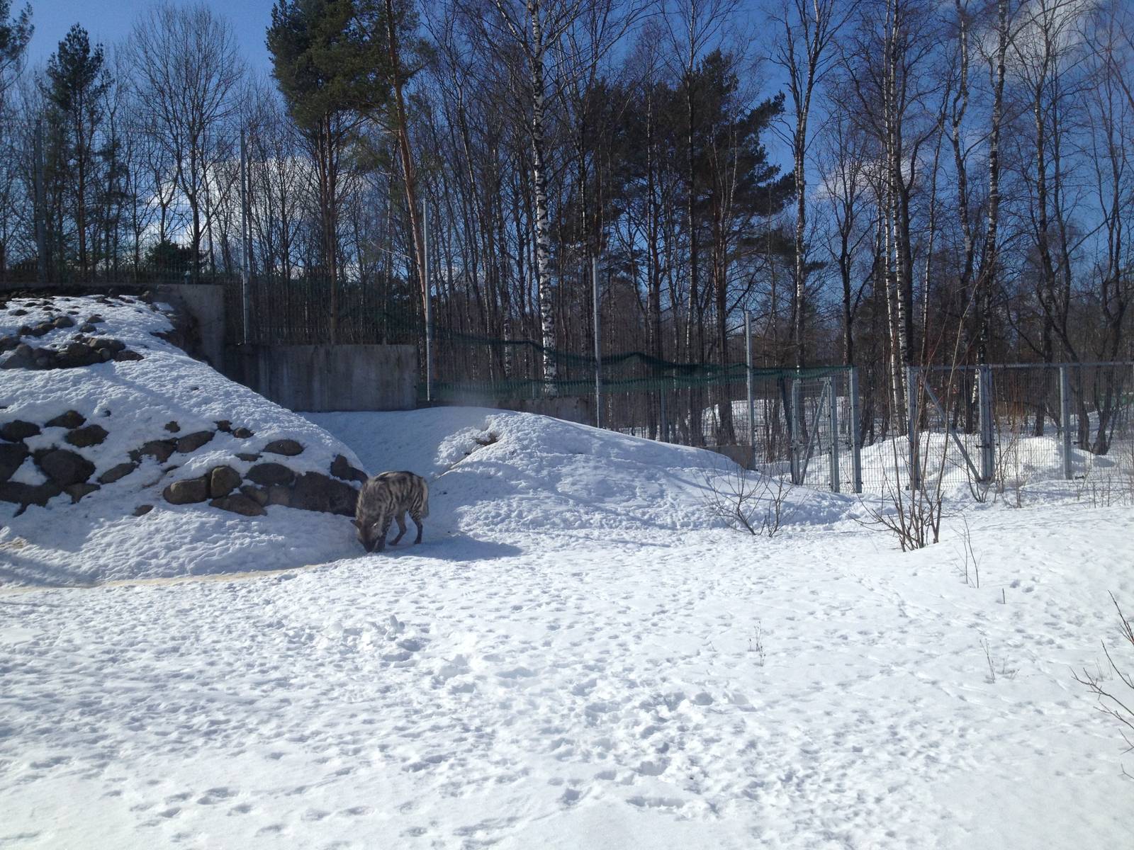 Tallinn Zoo