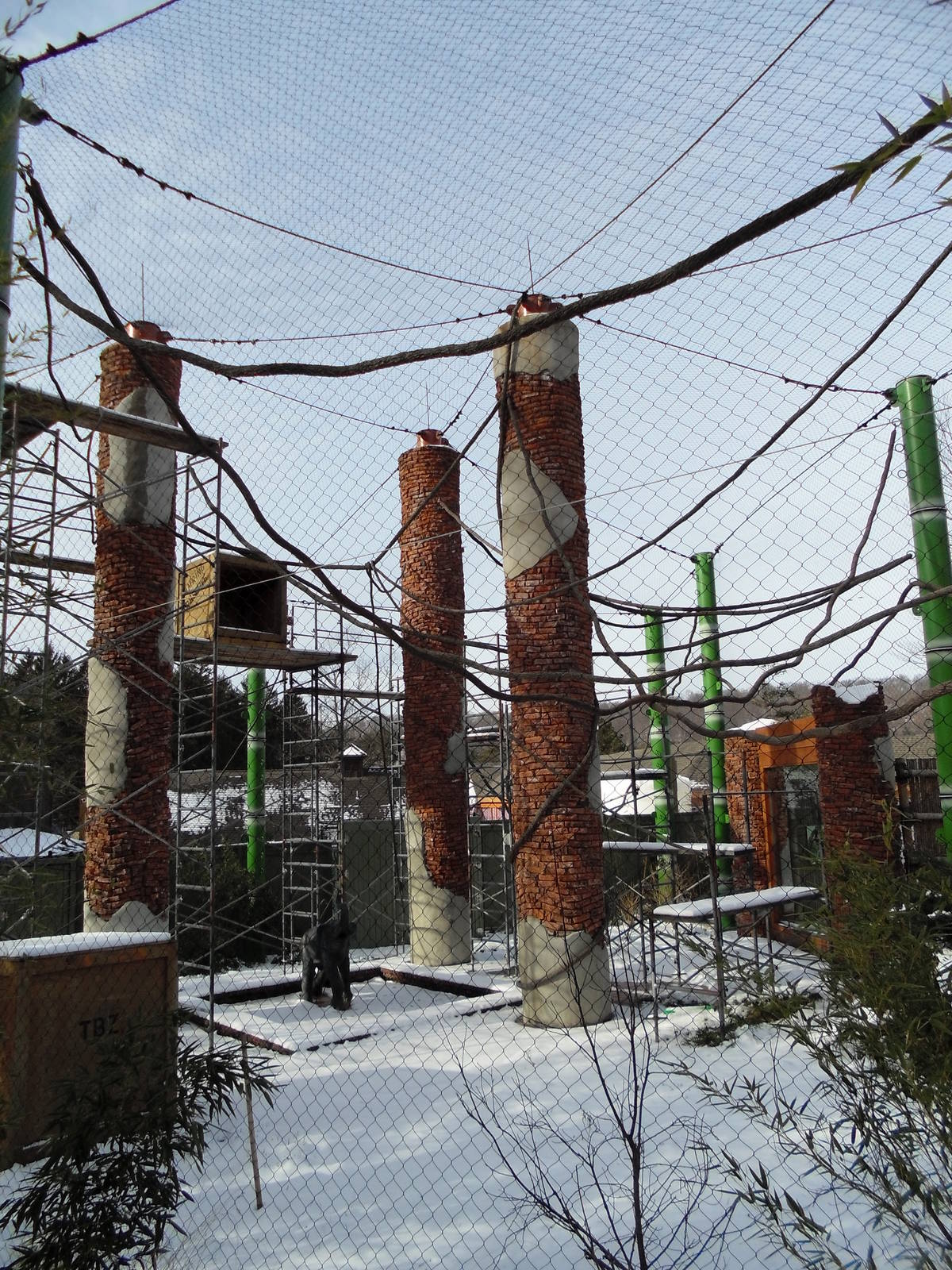 Tam-ring Gibbon Reserve