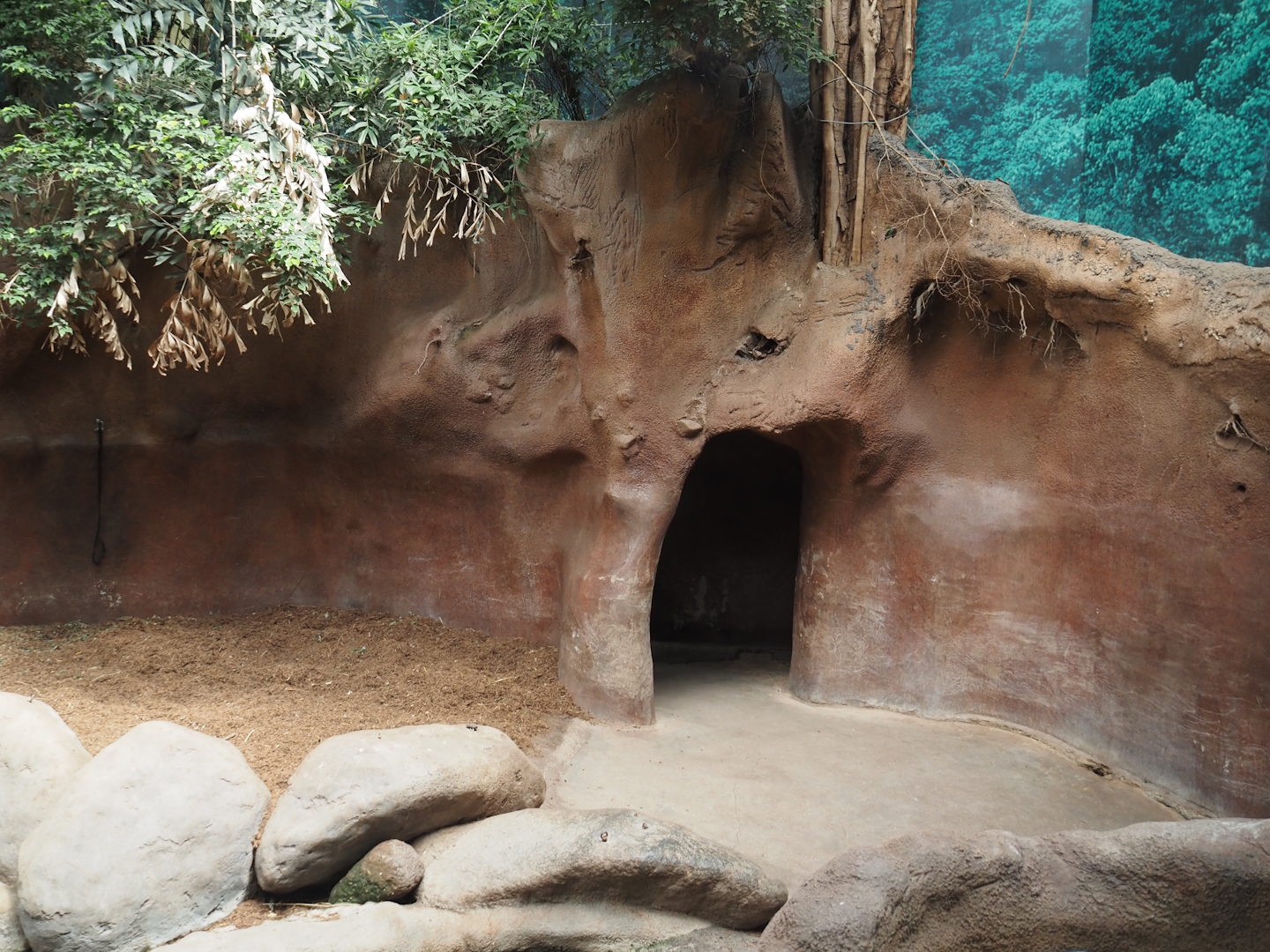 Taman Indah - Indian rhinoceros indoor exhibit, 2024-06-30