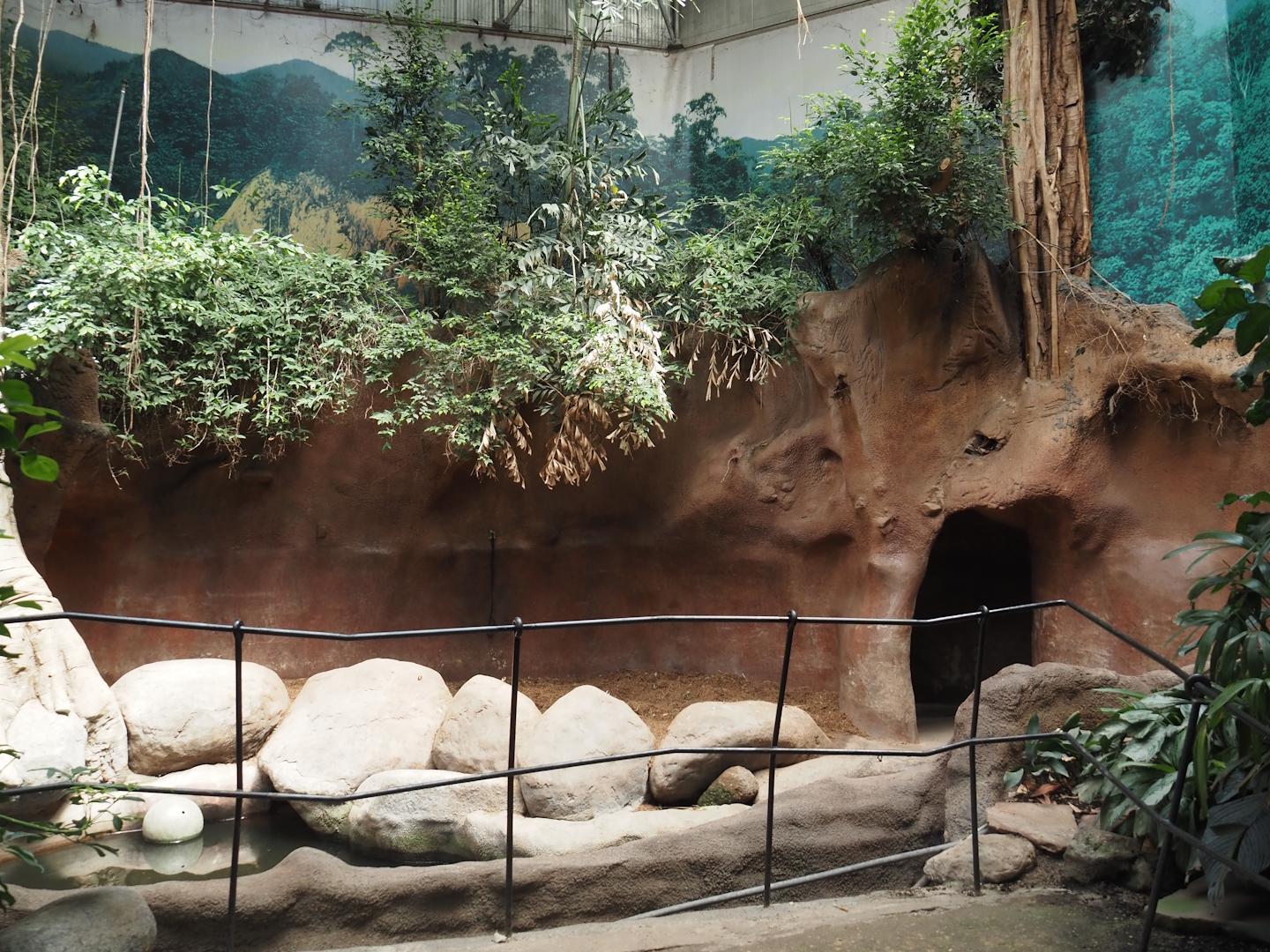 Taman Indah - Indian rhinoceros indoor exhibit, 2024-06-30