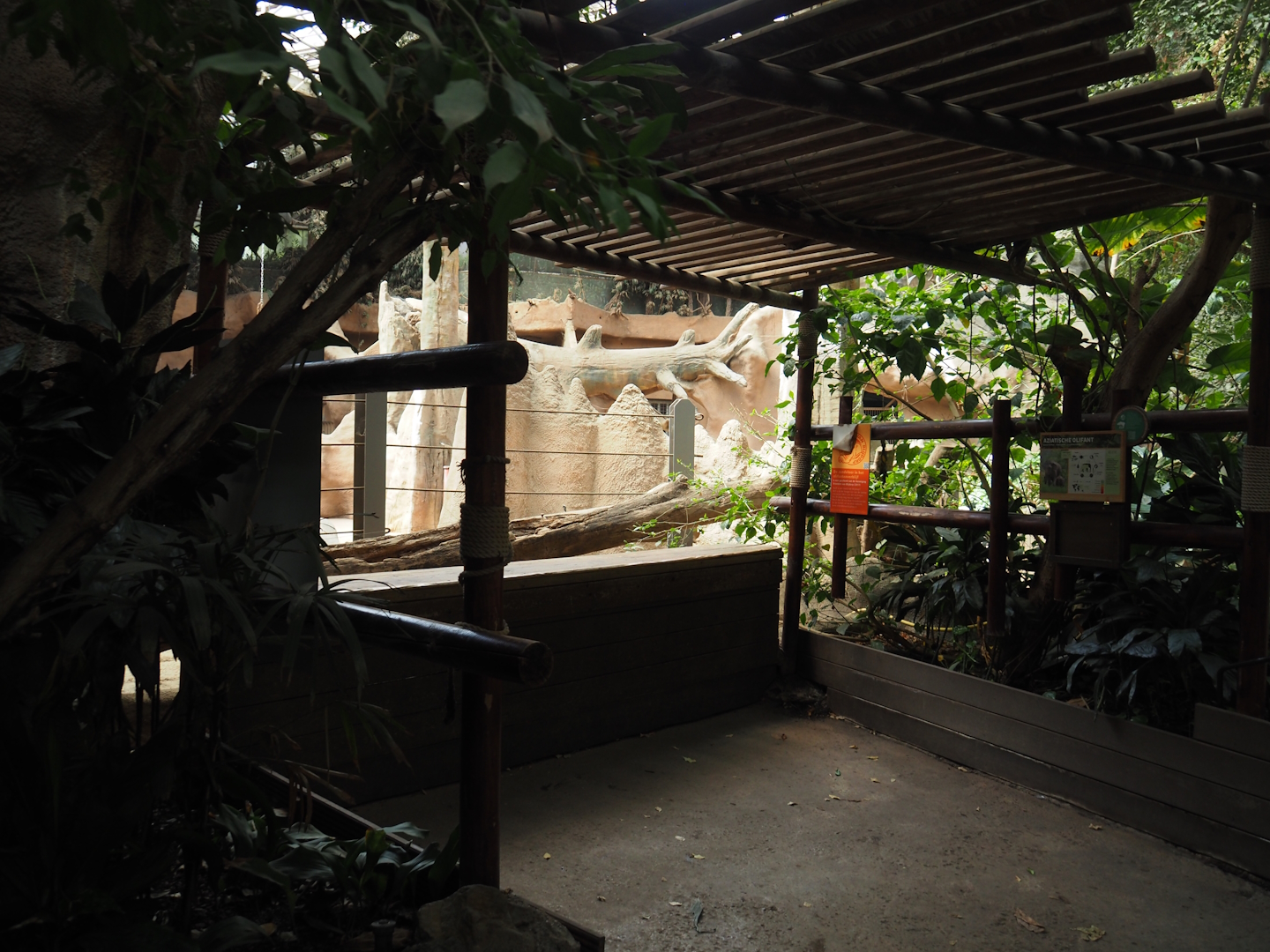 Taman Indah - Viewing area for Asian elephant indoor exhibit,, 2024-06-30