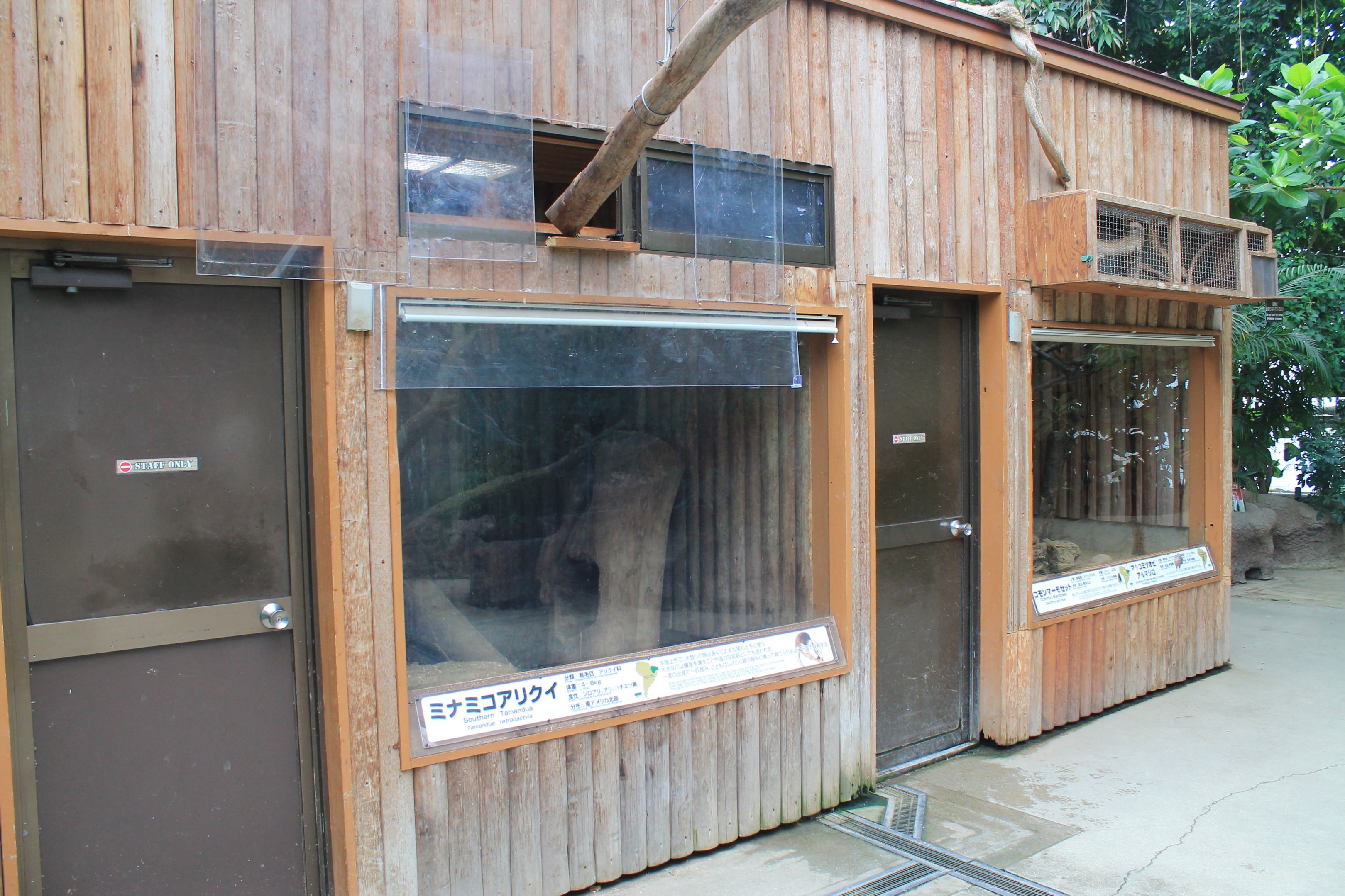 Tamandua and Common Marmoset housing