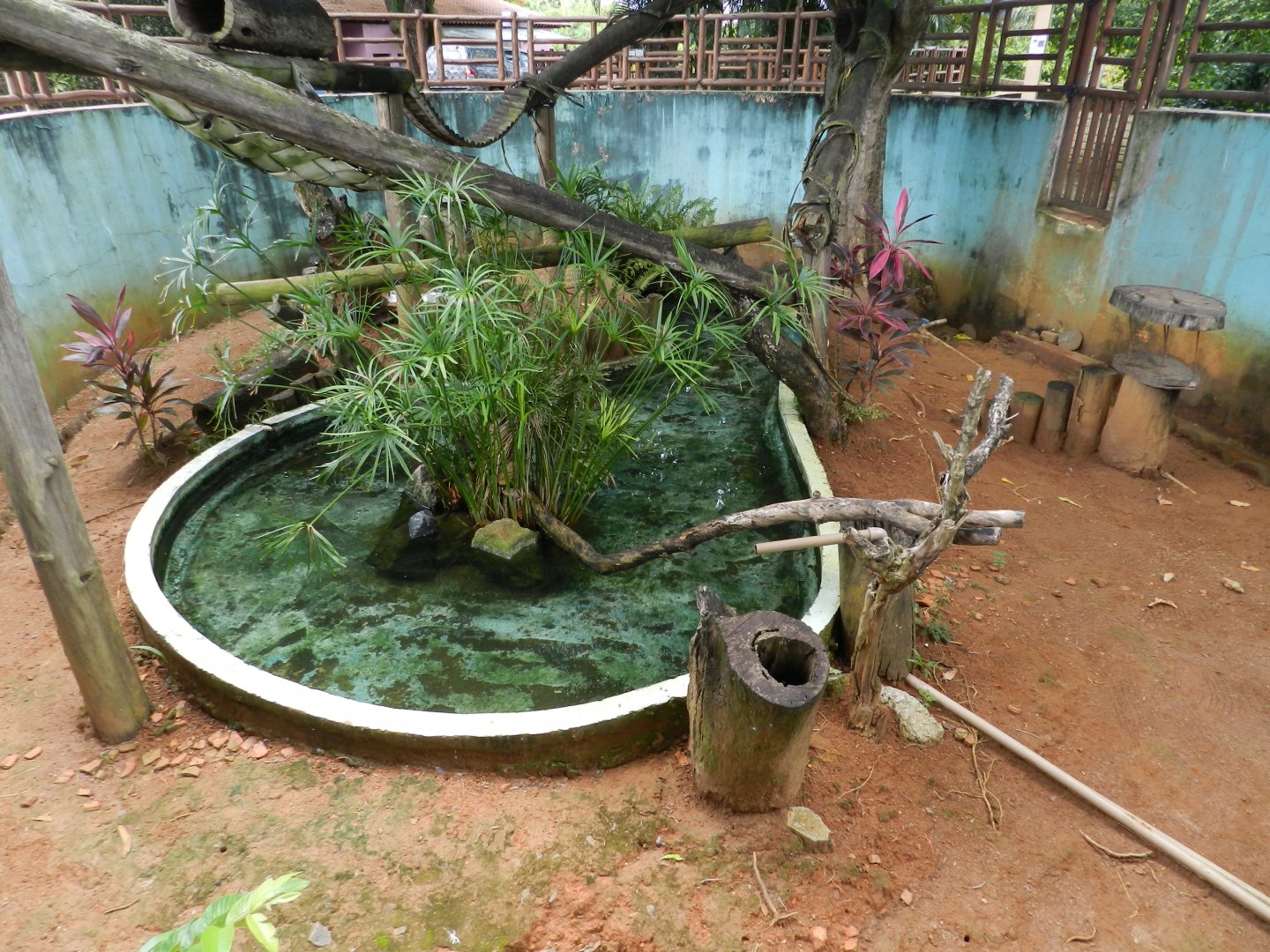 Tamandua and waterfowl exhibit - Salvador zoo (PZGV)