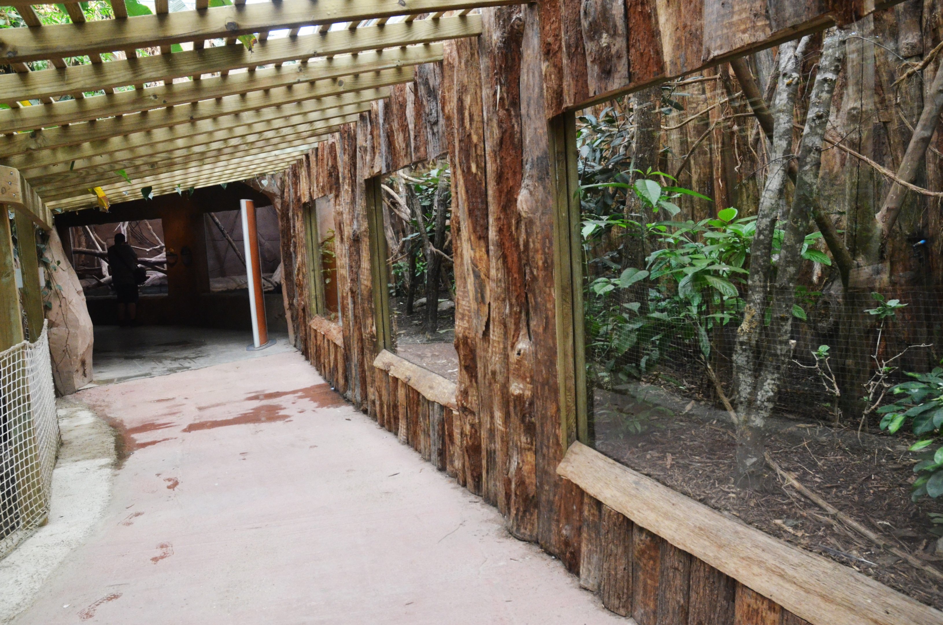 Tamandua Enclosure at Biotropica, 16/06/18