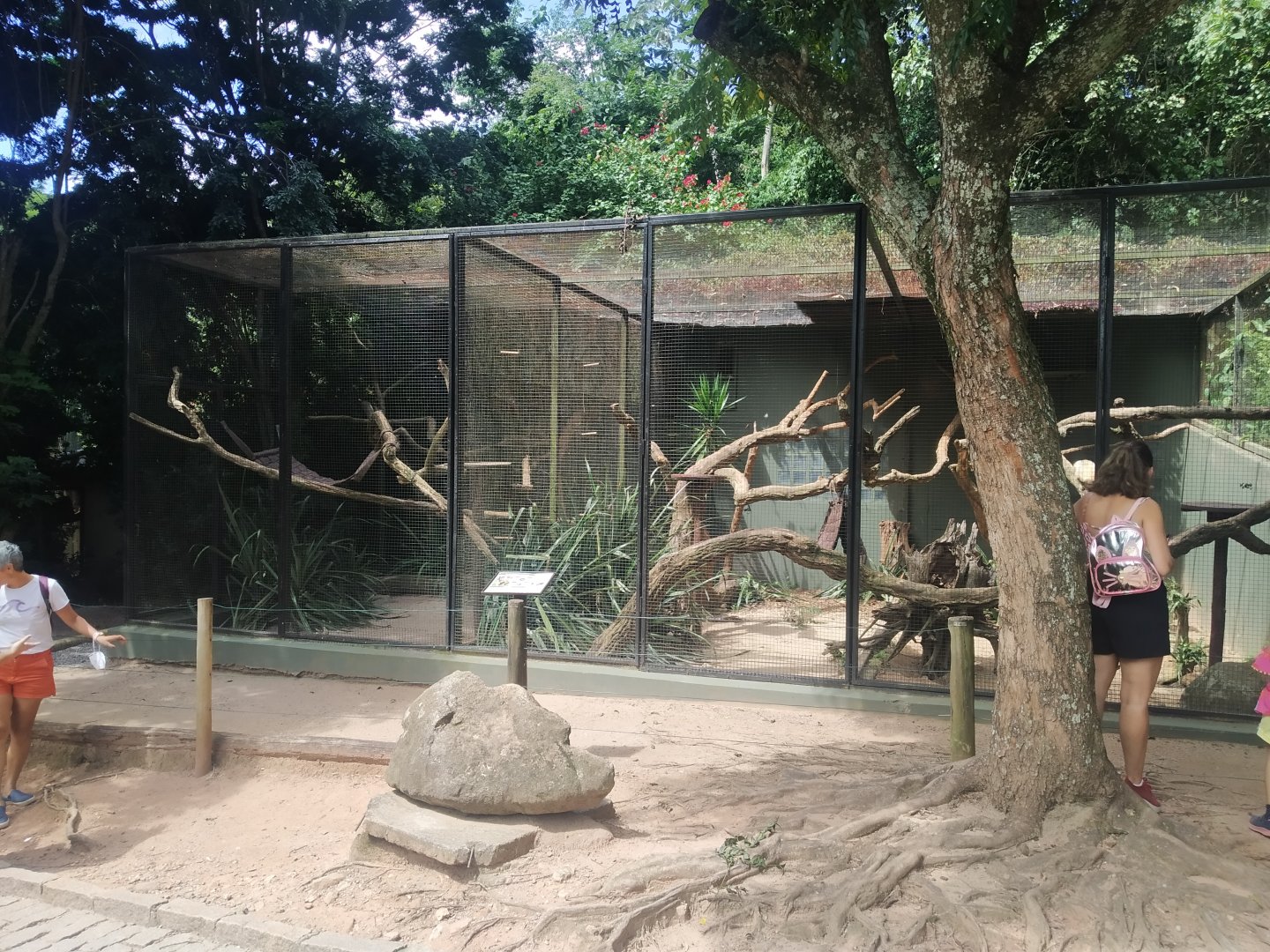 Tamandua enclosure